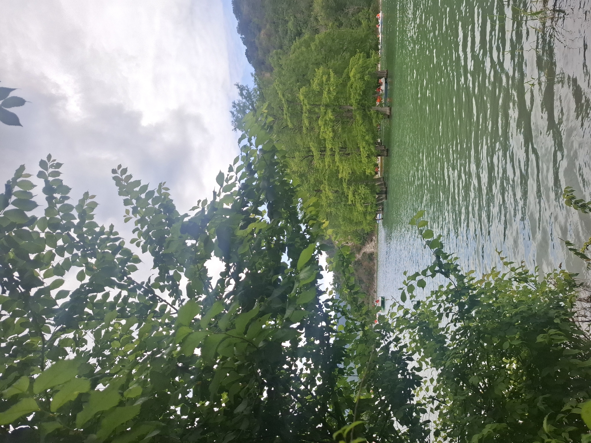 This is a photograph of a scenic lake with lush green trees and a cloudy sky. The water is a vibrant green, with gentle ripples reflecting the light. Along the shoreline, a line of trees, possibly cypress, stand tall with their distinctive conical shapes and feathery foliage. Their trunks appear to be partially submerged in the water. Several small orange life jackets are visible on the shore, suggesting an activity like boating or swimming may be taking place or is about to take place. The sky is overcast with soft, diffused light, indicating it might be a cloudy day, perhaps in the morning or late afternoon, as there are no harsh shadows. The foreground is dominated by the dense green leaves of trees, framing the view of the lake and the trees on the opposite shore. The overall impression is one of a tranquil natural setting, likely in a temperate climate, given the vibrant green of the vegetation. The orientation of the photo is portrait, with the top of the image on the left. The presence of life jackets and the tranquil water suggest a recreational area, possibly a popular tourist spot.