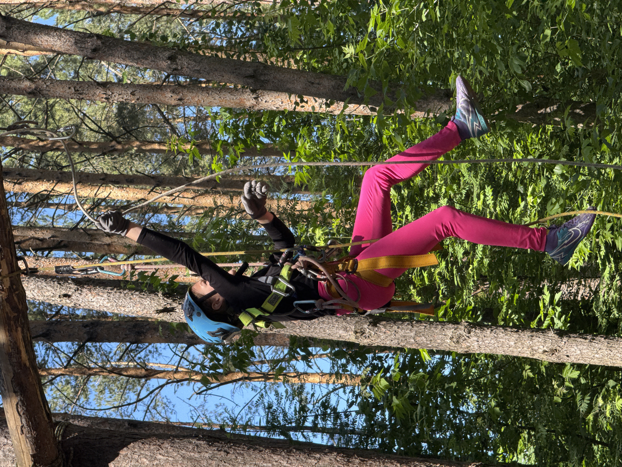 In this image, a person is participating in an adventure park activity, suspended by ropes between trees. The individual is wearing a bright pink full-body suit, a blue helmet, and a safety harness with green and yellow accents. Their arms are outstretched, and their legs are extended, suggesting movement or a pose mid-activity. One hand is holding onto a rope, and the other appears to be reaching for support. The person is wearing athletic shoes with a distinctive blue and teal pattern.
The scene is set in a forest, with tall pine trees and lush green foliage surrounding the participant. Sunlight filters through the leaves, creating dappled light and shadows, indicating it is daytime. The sky is visible in patches between the trees, appearing blue. The overall impression is one of an outdoor recreational activity, likely a ropes course or zip-lining, where safety equipment is essential. The environment suggests a natural, wooded setting. No discernible text is visible on the clothing, equipment, or in the surrounding environment.