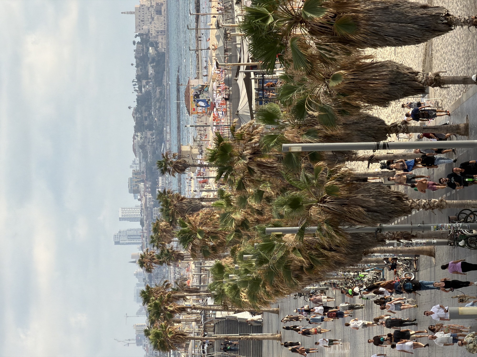 The image depicts a sunny day in Tel Aviv, Israel, likely late morning or early afternoon given the bright light and clear sky. The scene is a bustling promenade alongside a beach, lined with numerous palm trees. In the background, the blue Mediterranean Sea meets a sandy beach dotted with sunbathers and beach umbrellas. Beyond the beach, a cityscape with modern buildings and older structures rises, hinting at the urban environment adjacent to the coast.
The promenade itself is a hub of activity. People are walking, some in athletic wear, suggesting exercise or leisure. Others are strolling, some with dogs. There are bicycles parked along the path, and a few people are seen riding them. The overall atmosphere appears lively and relaxed, typical of a popular seaside location. The palm trees, some with lush green fronds and others more weathered, create a tropical ambiance.
The image is captured from a slightly elevated perspective, looking down the length of the promenade. The orientation of the image is portrait mode, with the sky at the left and the ground/sea at the right. There's no visible text in the image that is clear enough to read. The weather appears to be warm and pleasant, ideal for outdoor activities. The collection of people and the general scene suggest a normal day in a vibrant coastal city.
