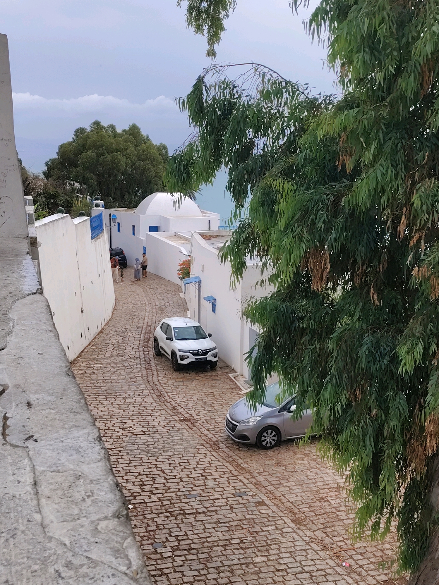 In the city of Tunis, Tunisia, a narrow cobblestone street winds between whitewashed buildings. The architecture features blue accents on windows and doors, and a distinctive white dome atop one of the structures suggests a religious or cultural building. The street is lined with trees, one of which, a large eucalyptus tree with wispy leaves, dominates the right side of the frame, casting shadows. Two cars are parked on the street: a white compact SUV and a silver hatchback. In the background, a few individuals are visible, dressed casually. The sky is overcast, indicating a cloudy day. The overall scene depicts a tranquil, picturesque street in what appears to be a Mediterranean coastal town.