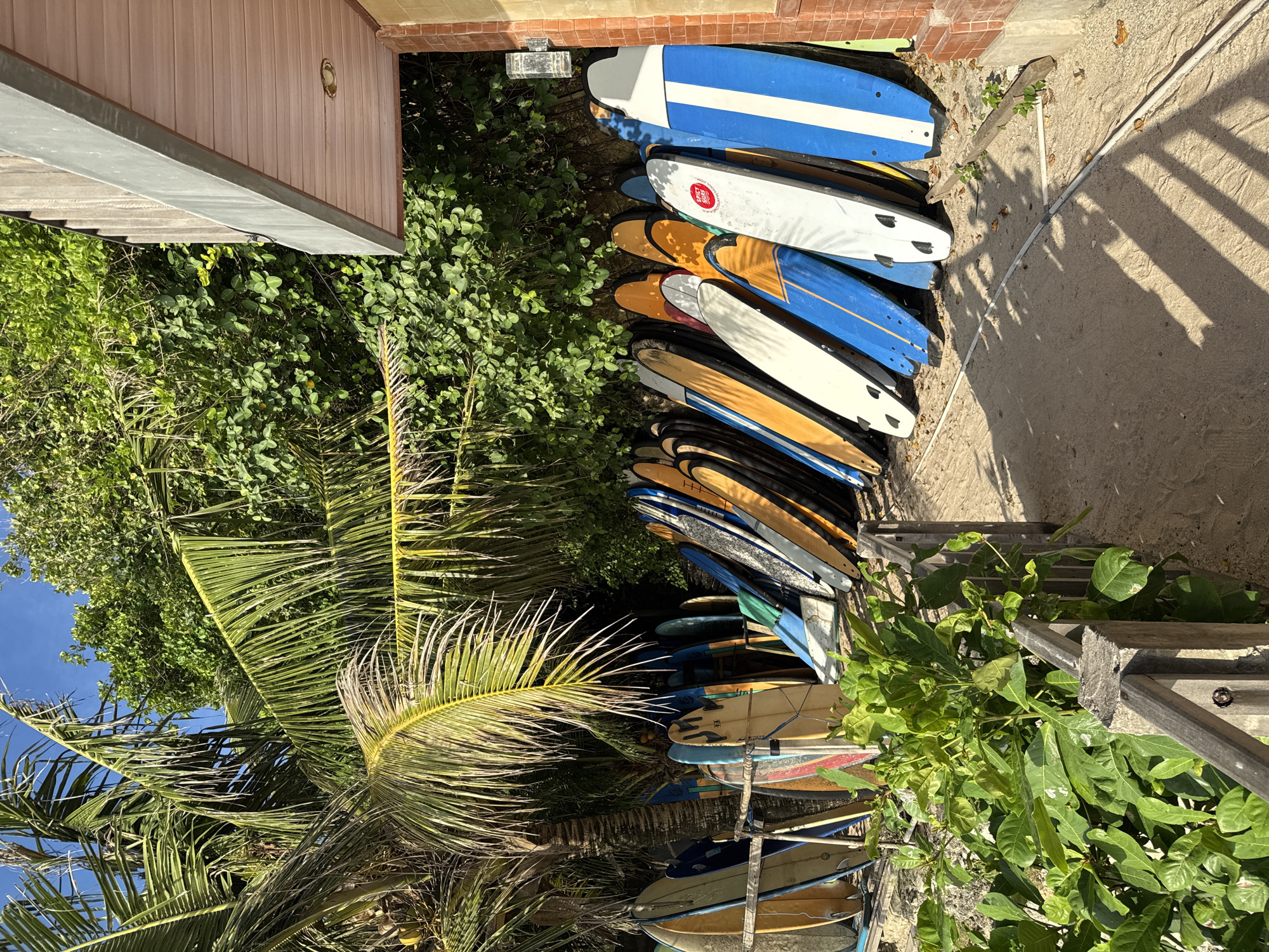 The scene is a storage area for surfboards near the beach in Kuta Selatan, Indonesia. A stack of various surfboards of different colors and sizes are leaned against a building and nestled amongst lush tropical vegetation. A partially visible palm tree stands on the left side of the image, reaching towards a clear blue sky. Wooden stairs lead up to a sandy area alongside the surfboards. The lighting suggests it is daytime with bright sunshine casting shadows. The overall atmosphere is relaxed and tropical, typical of a surfing destination.