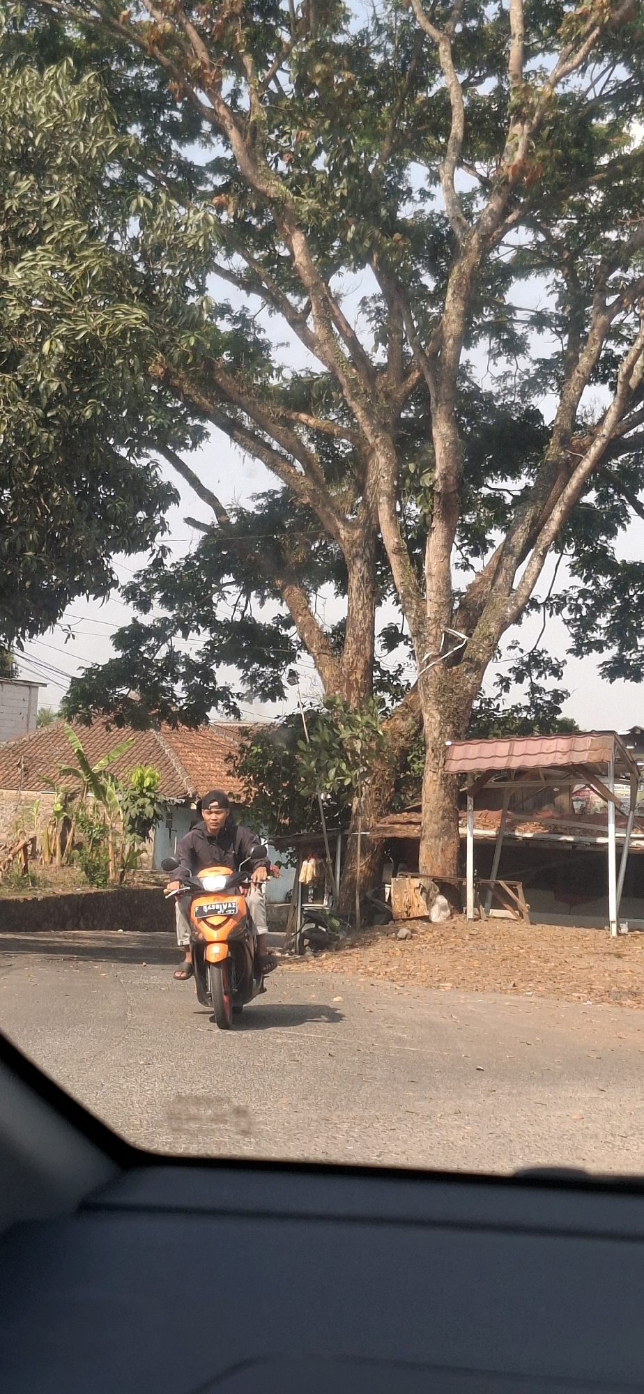 In the city of Cibinong Hilir, Indonesia, a young man wearing a black hoodie and a black baseball cap rides an orange scooter down a paved road. He is wearing light-colored pants and sandals. The scooter has a license plate that reads "B 4591 VAH". The road is lined with trees on the right side, with a large, old tree with many branches dominating the background. To the left of the road, there is a house with a terracotta tile roof and some banana trees. There is also a small, open-air stall with a red roof to the right of the large tree. The ground is covered with dry leaves and dirt. The image appears to be taken from inside a vehicle, as indicated by the black border at the bottom of the frame.
