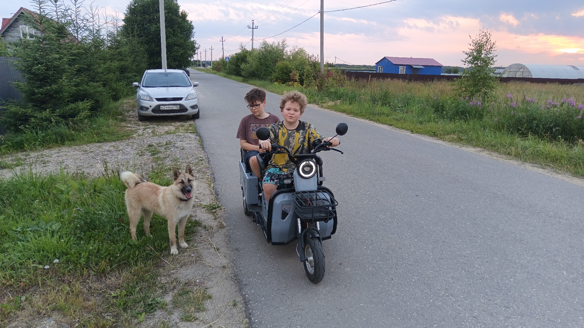 Two young boys are riding on a three-wheeled electric scooter on a paved road in what appears to be a rural or suburban setting, likely Ankudinovo, Russia. The boy in front is driving, wearing a yellow and black tie-dye shirt and patterned shorts. The boy behind him is wearing a brown t-shirt and dark shorts, with glasses. Both boys appear relaxed.
To the left of the road, a light-colored dog with pointy ears is standing on the grass, looking towards the camera. Behind the dog, a silver car is parked on a gravel patch next to a fence. Further behind the car, a wooden house with a dark roof is visible amongst tall evergreen trees.
The road continues into the distance, with fields of grass and wildflowers on either side. In the background, there are several structures, including a blue house with a red roof, a greenhouse, and power lines. The sky is filled with soft, muted colors, suggesting it is either early morning or late evening, with a sunset or sunrise casting a warm glow. The weather appears calm. The visible text on the car's license plate reads "K244MB 199". The scooter has a basket on the front and a storage compartment behind the driver's seat.