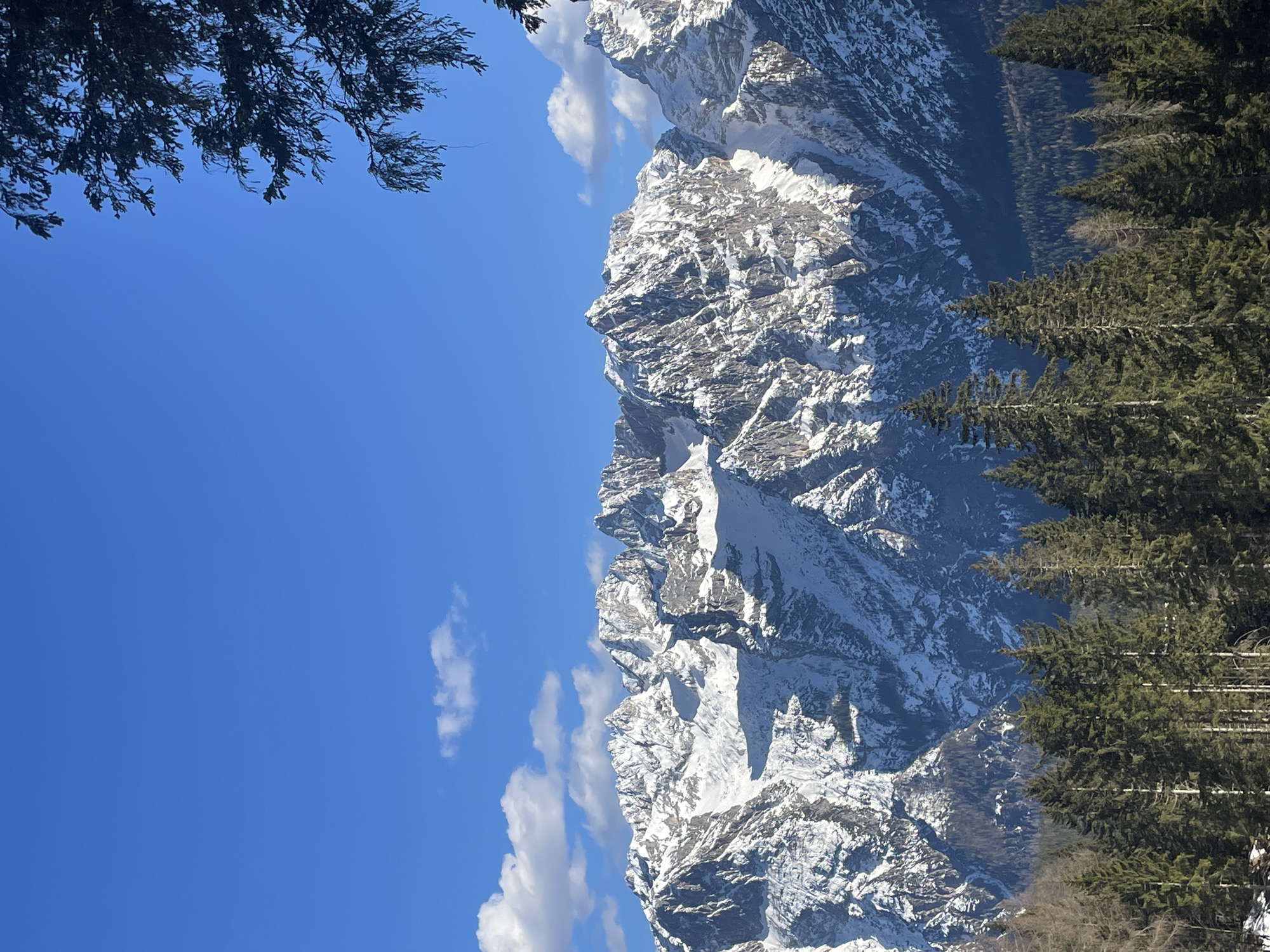 The image shows a mountain range in Cortina d'Ampezzo, Italy, with snow-capped peaks and a clear blue sky with a few clouds. Evergreen trees are visible in the foreground on both sides of the frame.