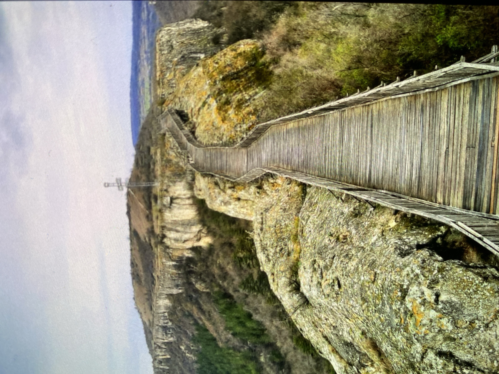The image, presented in a vertical orientation, captures a long, winding wooden walkway constructed along the side of a rugged, rocky cliff. The walkway, made of wooden planks with railings, snakes into the distance, following the natural contours of the steep gorge or canyon.
The scene is a dramatic natural landscape. The cliffs are predominantly grey and brown, heavily textured, and covered in patches of green and yellowish lichen and moss. Sparse vegetation, including shrubs and trees, clings to the rock faces and crowns the cliff edges, particularly in the mid-ground and background.
The sky above is a uniform light grey, suggesting an overcast or cloudy day. No strong shadows are visible, indicating it is daytime. In the far distance, positioned at what appears to be the terminus or a prominent viewpoint along the walkway, a distinct white, cross-shaped monument stands tall against the sky. The steep drop-off below the walkway implies significant height and a dramatic vista.
No people are present in the image, so no specific activity is ongoing, but the elaborate wooden structure suggests a designated hiking trail or scenic overlook designed for visitors. No visible text is present. The setting is a majestic natural environment, consistent with the landscapes found around Bankya, Bulgaria.