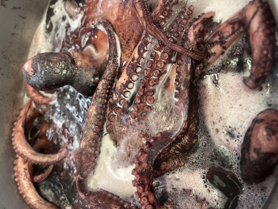 A large, reddish-brown octopus is submerged and actively cooking in a silver-colored metal pot, with visible bubbling and white foam indicating high heat. Multiple tentacles, displaying suckers, are curled and intertwined within the frothy, reddish-purple liquid. A dark, somewhat conical mantle section is also present. The octopus exhibits areas of darker, purplish-black coloration on its skin. The scene depicts a culinary preparation in Budva, Montenegro.