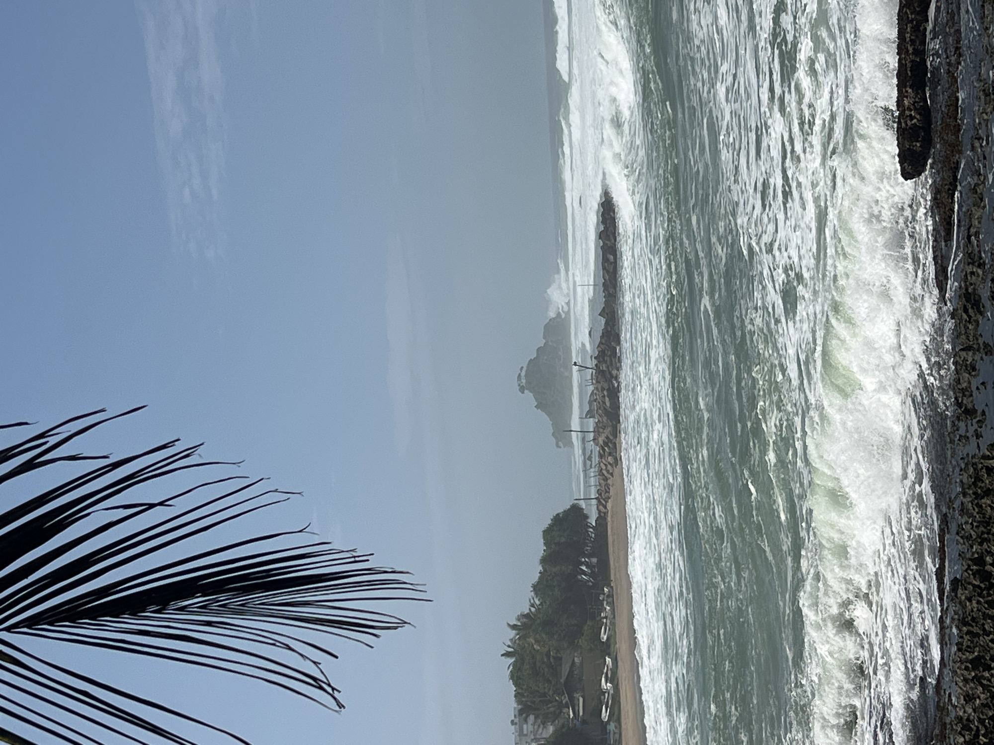 The image shows a coastline in Goviyapana, Sri Lanka. A beach is visible, lined with palm trees and other vegetation. The ocean is rough with large waves crashing against a rocky breakwater. A dark palm frond is in the lower left corner of the image. The sky is overcast. The image is oriented vertically.