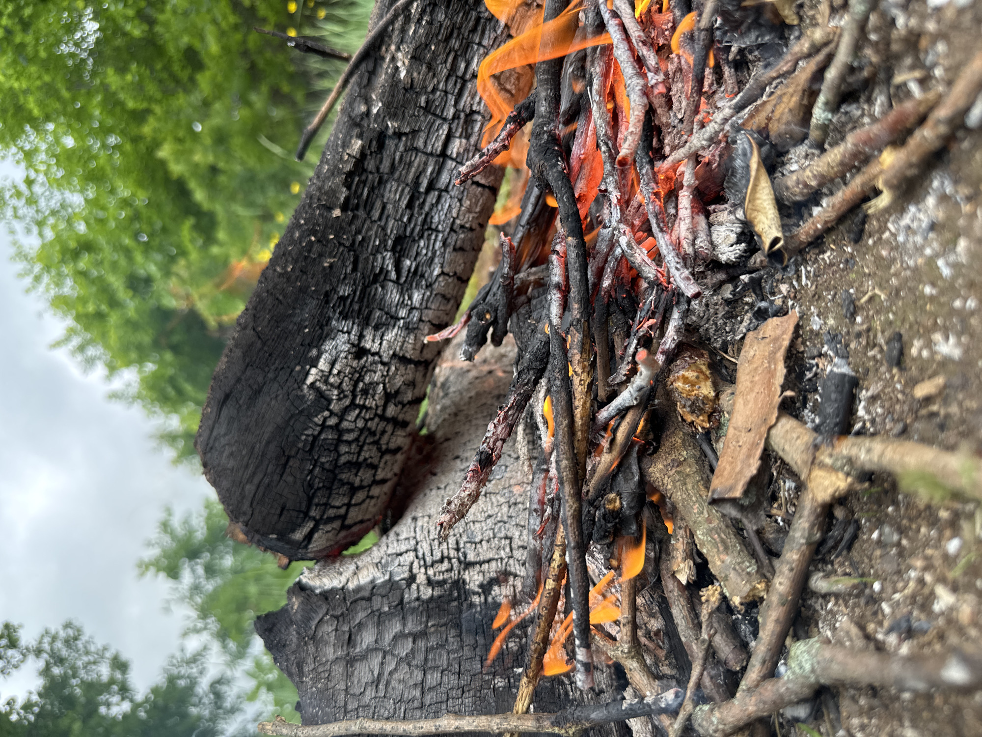 In the city of Chaikovsky, Russia, an outdoor scene is depicted with a small, active campfire in the foreground. The fire consists of glowing red embers and orange-yellow flames concentrated among a pile of smaller, dry branches and twigs. Two larger, significantly charred logs, dark black with distinct crack patterns on their surfaces, serve as substantial fuel for the fire. The ground immediately surrounding the fire is composed of loose dirt and soil, scattered with ash, charcoal, and unburnt woody debris. The background features lush, out-of-focus green foliage from trees and bushes under an overcast, light grey sky. No individuals or man-made structures are visible.