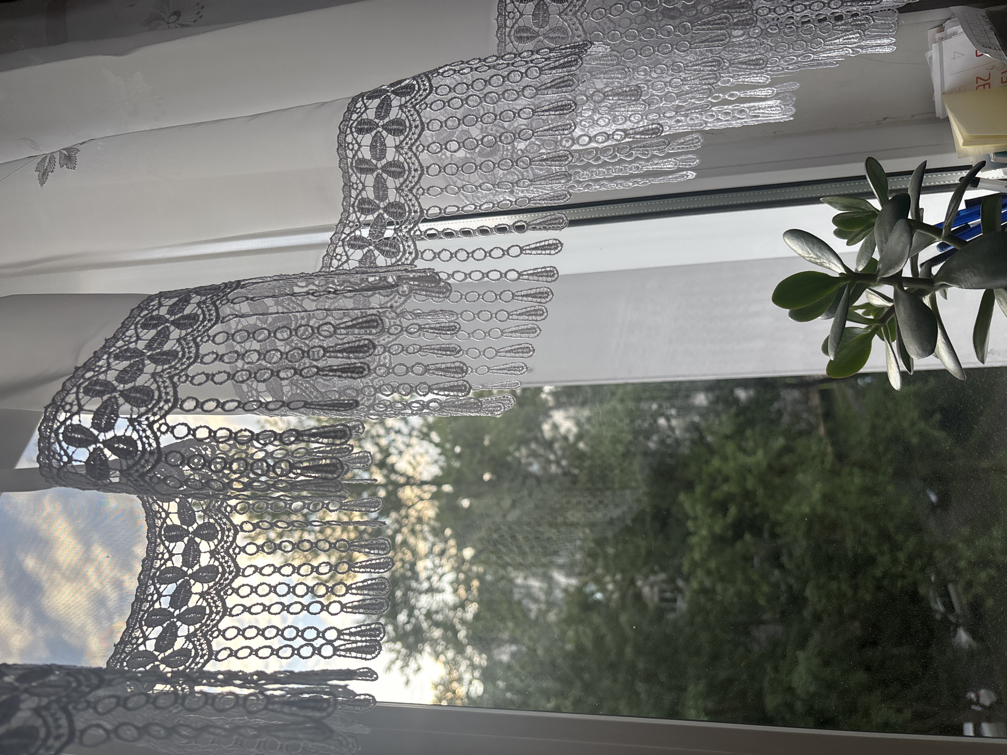 The image shows a close-up view of a window with white lace curtains. Through the window, lush green trees and the sky with clouds are visible. On the windowsill, a jade plant is positioned in the foreground, next to a collection of pens and some papers. The scene is indoors, likely a residential setting, and the focus is on the decorative curtains and the plant. There is no indication of any specific location in Sinyavino, Russia, nor any people, actions, or interactions.