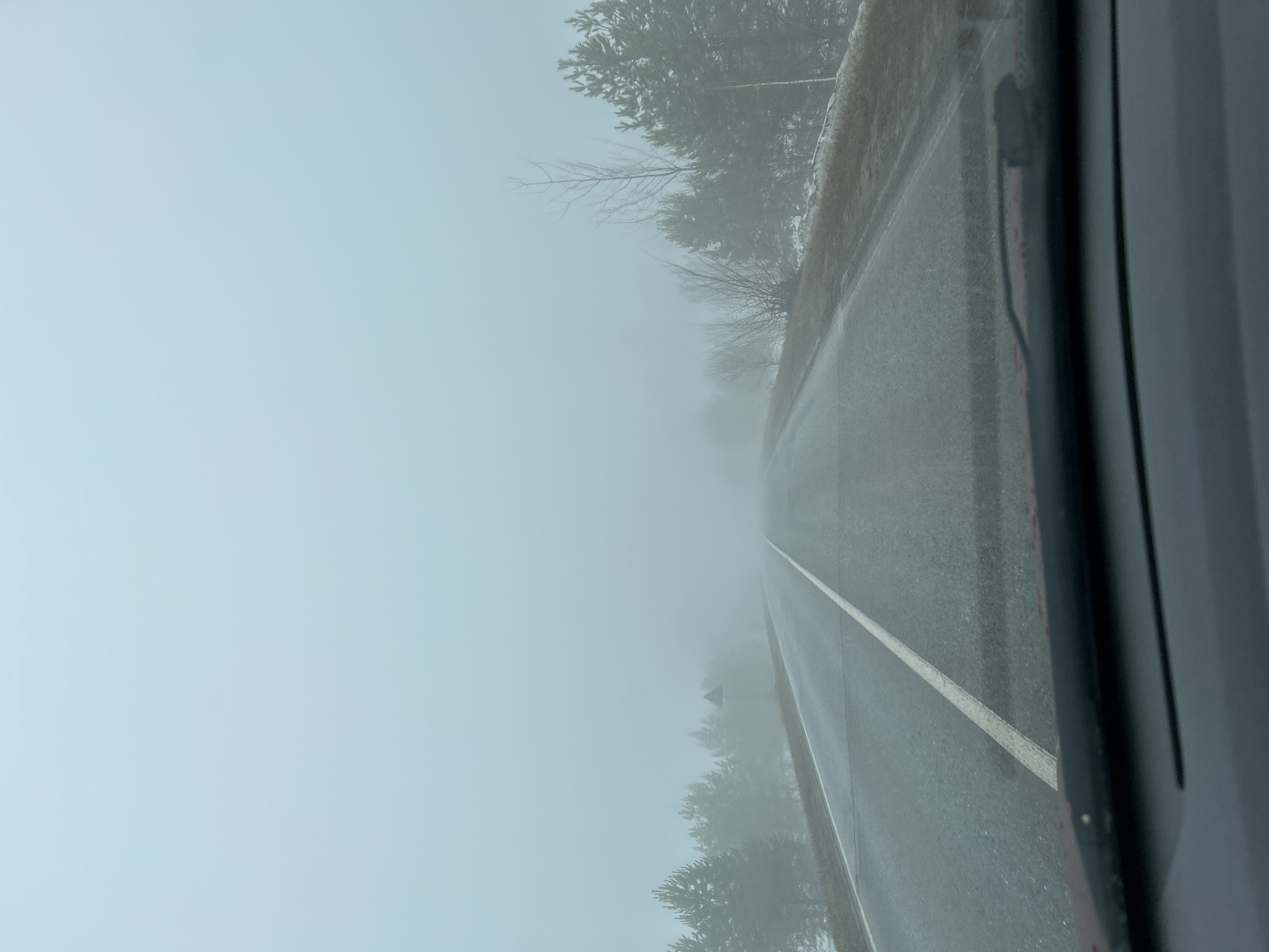 The image shows a straight, wet asphalt road with a single white lane marking, viewed from inside a vehicle. Dense fog obscures visibility beyond a short distance. Trees line the side of the road, their details indistinct due to the fog. The road appears to be located in Уральское, Russia based on the prompt. The weather conditions suggest poor driving conditions.