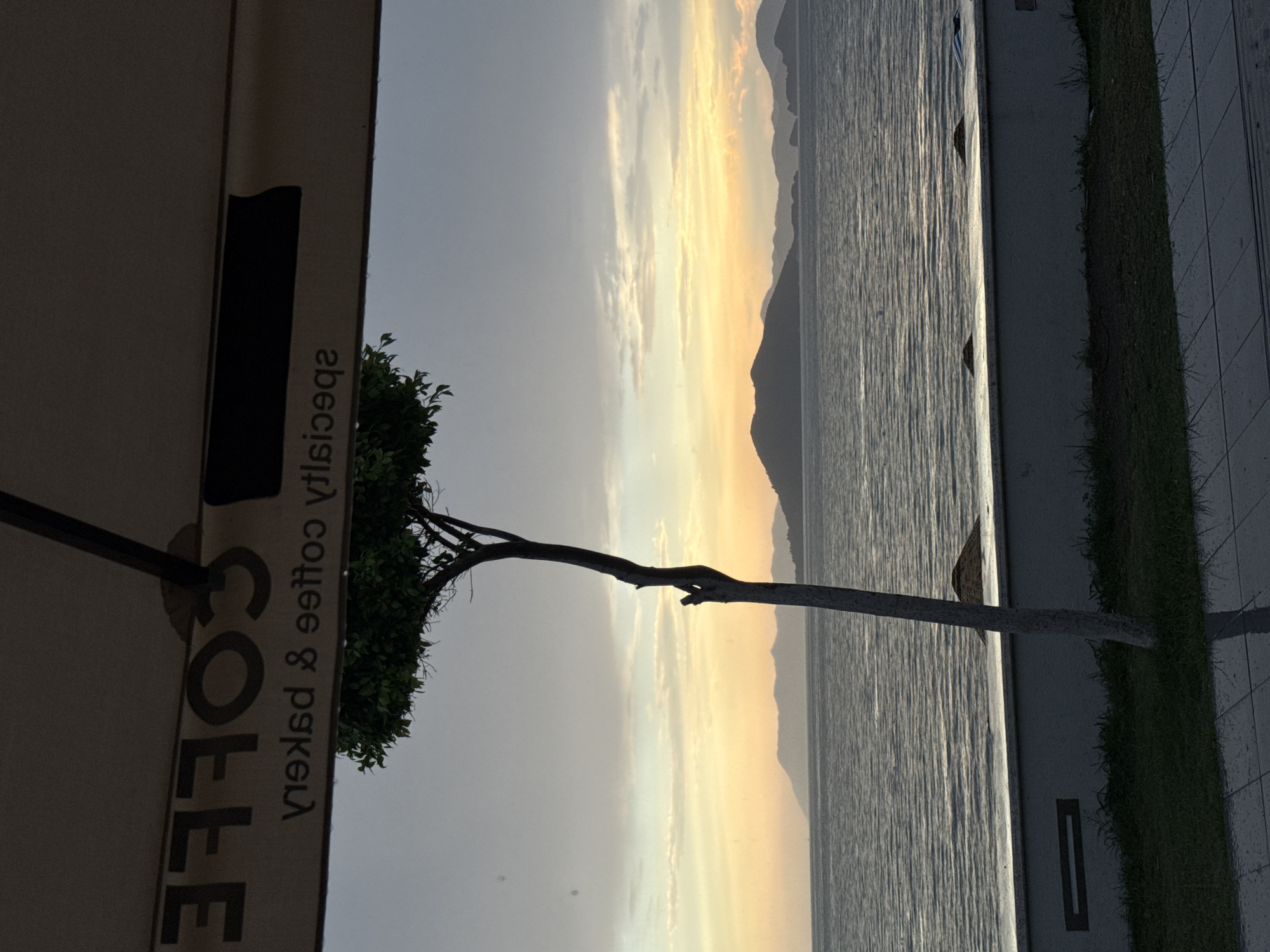 A narrow, solitary tree with sparse foliage stands prominently in the foreground, its pale trunk leaning slightly to the right, silhouetted against a muted, hazy sunset over the sea. The sky transitions from a pale yellow and orange near the horizon to a dusky grey above. The sea exhibits a rippled texture, reflecting the subdued light. A low, concrete wall runs horizontally across the middle ground, separating the grassy area in front from the sea. A small, conical umbrella or structure is visible peeking over the wall to the right. The upper portion of the image is dominated by the underside of a large, beige awning, from which hangs a black support pole. Text is visible on the awning, reading "COFFEE & BAKERY SPECIALITY" in reverse due to reflection. The scene appears to be an outdoor seating area of a cafe or establishment overlooking a body of water, likely a bay or coastline in Fethiye, Turkey. The overall atmosphere is serene and overcast, suggesting the end of the day.