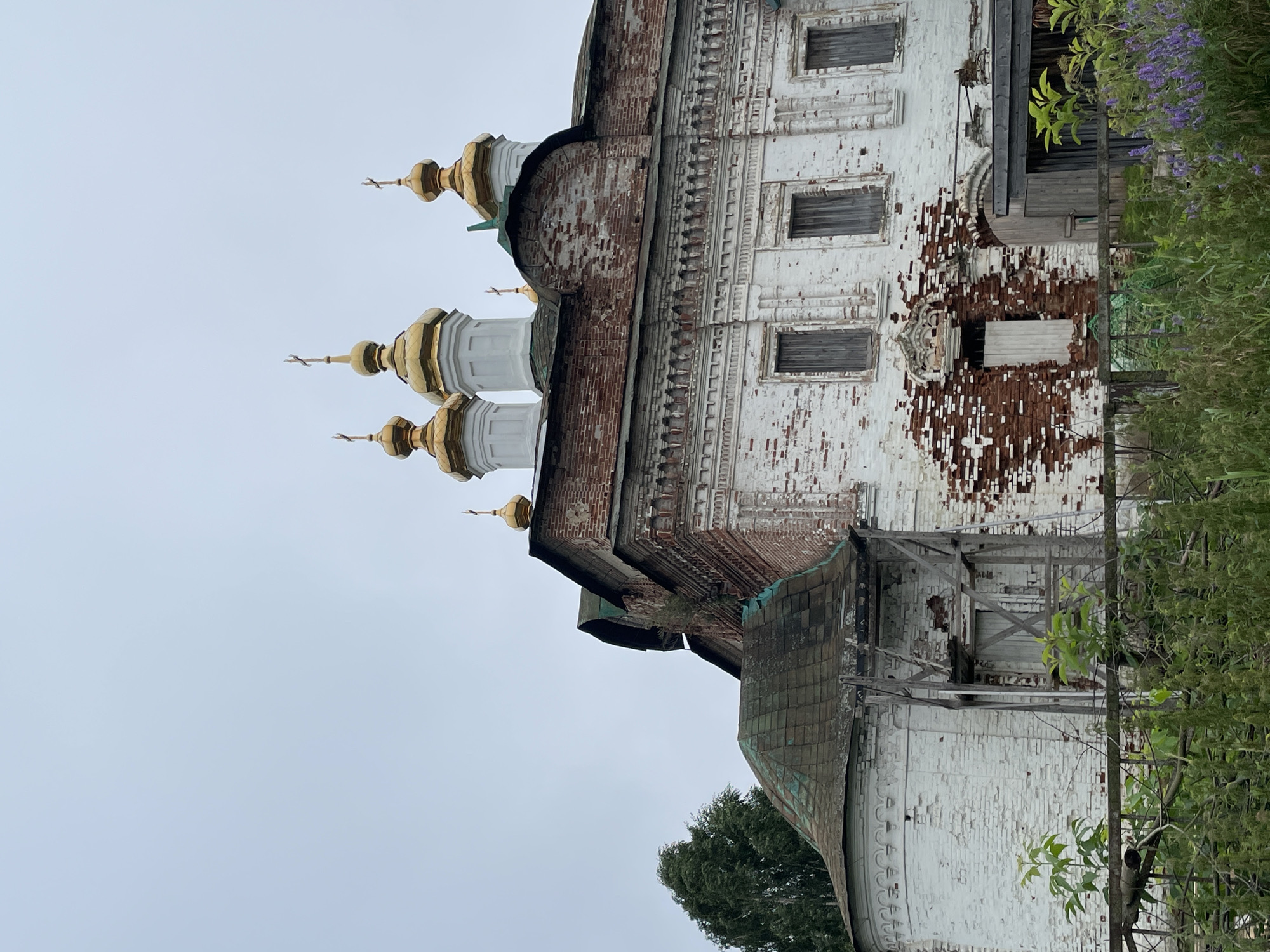 This is a medium shot photograph of the Church of the Resurrection in the village of Kstinino, Russia, taken from a slightly low angle. The sky is overcast and a pale grey. The church itself is constructed of white brick with significant areas of exposed red brick, indicating wear and disrepair. It features multiple golden domes topped with crosses. The main building has several windows with wooden shutters. To the left, a rounded apse with a weathered, greenish roof is visible, supported by scaffolding. Vegetation, including a tall tree and dense green foliage with some purple flowers, grows in front of the church, partially obscuring the lower portion of the building and a fence.