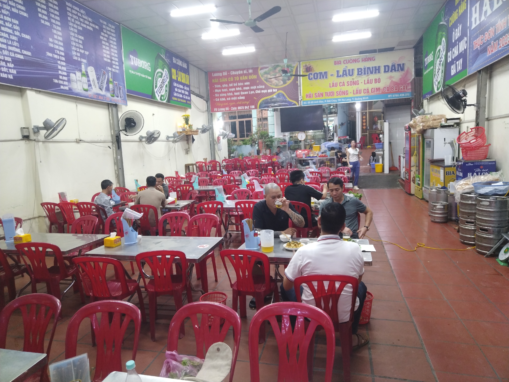 The image displays the interior of a casual Vietnamese restaurant or eatery, likely in Bai Chay Ward, Ha Long City, Quang Ninh Province, as confirmed by visible text. The setting is brightly illuminated by fluorescent lights, suggesting an evening or nighttime scene.
Numerous men are seated at square metal tables with red plastic chairs, engaged in dining and socializing. Many are seen with glasses or mugs, indicating they are enjoying beverages, prominently beer, alongside their meals. One man in the foreground is taking a sip from a beer glass. In the background, a woman walks through the space. The overall atmosphere appears relaxed and social.
The walls are decorated with large banners and signs in Vietnamese, advertising the restaurant's specialties and various brands. Key visible text identifies the establishment as "BIA CƯỜNG HÀNG" and "COM - LẦU BÌNH DÂN" (Popular Rice - Hotpot), indicating its focus on common Vietnamese dishes and hotpots. Other signs promote "HẢI SẢN TƯƠI SỐNG" (Fresh Seafood), featuring "LẦU CÁ SONG - LẦU BÒ" (Song Fish Hotpot - Beef Hotpot), and "LẦU CÁ GIM, CÁ BA GAI" (Gim Fish Hotpot, Ba Gai Fish Hotpot). A detailed menu board lists various seafood and hotpot dishes with corresponding prices in Vietnamese Dong. Beer brands like Tuborg, Halong, and Sapphire are prominently displayed, with Tuborg noted as "VỊ BIA TUYỆT HẢO TỪ 1800" (The excellent beer taste from 1800). The restaurant's address, "Số 69 Anh Đào, P. Bãi Cháy, TP. Hạ Long, T. Quảng Ninh," and contact information are also visible. Stacks of beer kegs near the back further highlight the establishment's beverage offerings. Wall-mounted fans are strategically placed for air circulation.