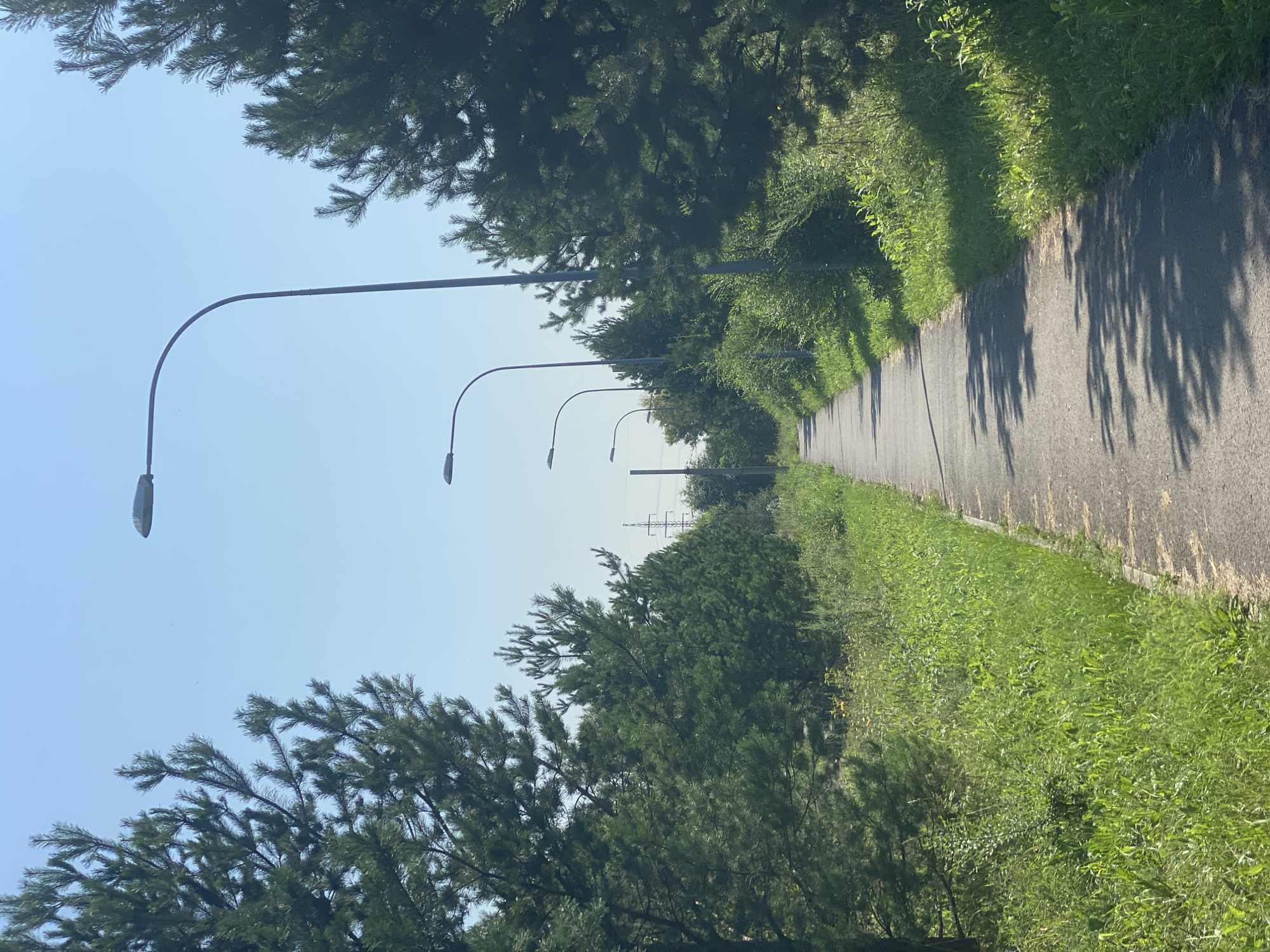 A paved walkway runs through a park-like area, bordered on both sides by tall green pine trees and dense undergrowth. The walkway curves slightly into the distance, with several streetlights lining its left side. In the background, a clear blue sky is visible, with some distant power lines. The scene appears to be in a suburban or park area of Novokuznetsk, Russia, judging by the presence of mature pine trees and a well-maintained walkway. The lighting suggests it is a sunny day. No people are visible in the image.