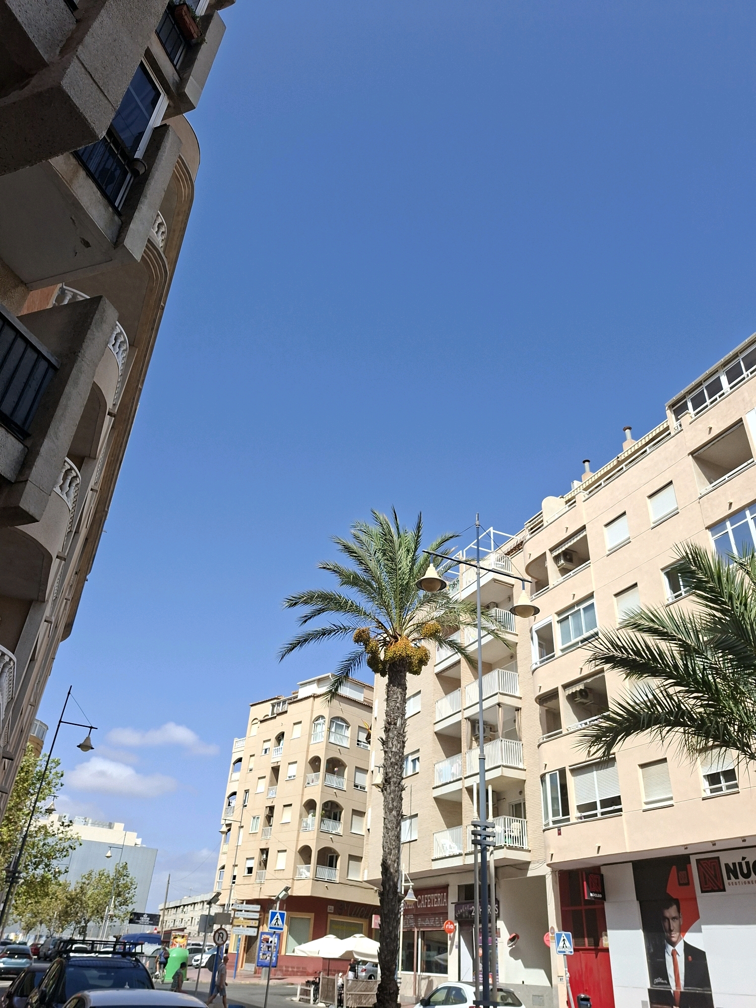 The image depicts a street scene in Torrevieja, Spain, under a clear blue sky. The perspective is looking upwards at several multi-story buildings.
On the left side, a building with a curved facade and balconies is partially visible. Its architectural style appears to be modern, with concrete elements and white railings.
In the center, a tall palm tree with visible dates stands prominently, reaching towards the sky.
To the right, a light-colored, multi-story building with many windows and balconies dominates the frame. Some windows are open, and air conditioning units are visible. There are awnings above some of the windows. Signs for "CAFETERIA" and other businesses are present on the ground floor of this building. A large advertisement featuring a man in a suit and tie is also visible on the right side of this building.
The street below is lined with cars, a lamppost with two fixtures, and pedestrian crossings. A few people are visible walking on the sidewalk. The overall impression is a typical urban environment on a sunny day.