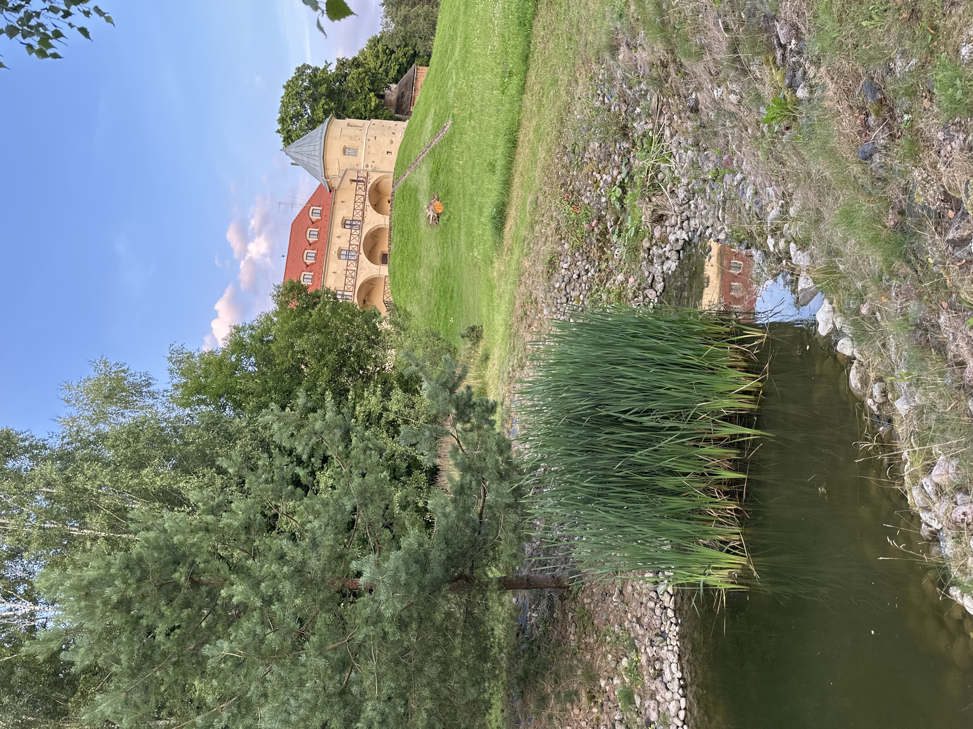 The image captures a view of Norviliškės Castle in Norviliškės, Lithuania. In the foreground, a dark pond with green reeds growing along its edge reflects the sky and a portion of the castle. The pond is surrounded by a rocky embankment. Behind the pond, a grassy slope ascends towards the castle, which is a tan-colored building with a red tiled roof and a conical turret. The castle is situated on a hilltop, with trees and greenery surrounding it. A path leads up the grassy slope towards the castle. The sky is blue with some scattered clouds. The overall scene depicts a serene and historic landscape.