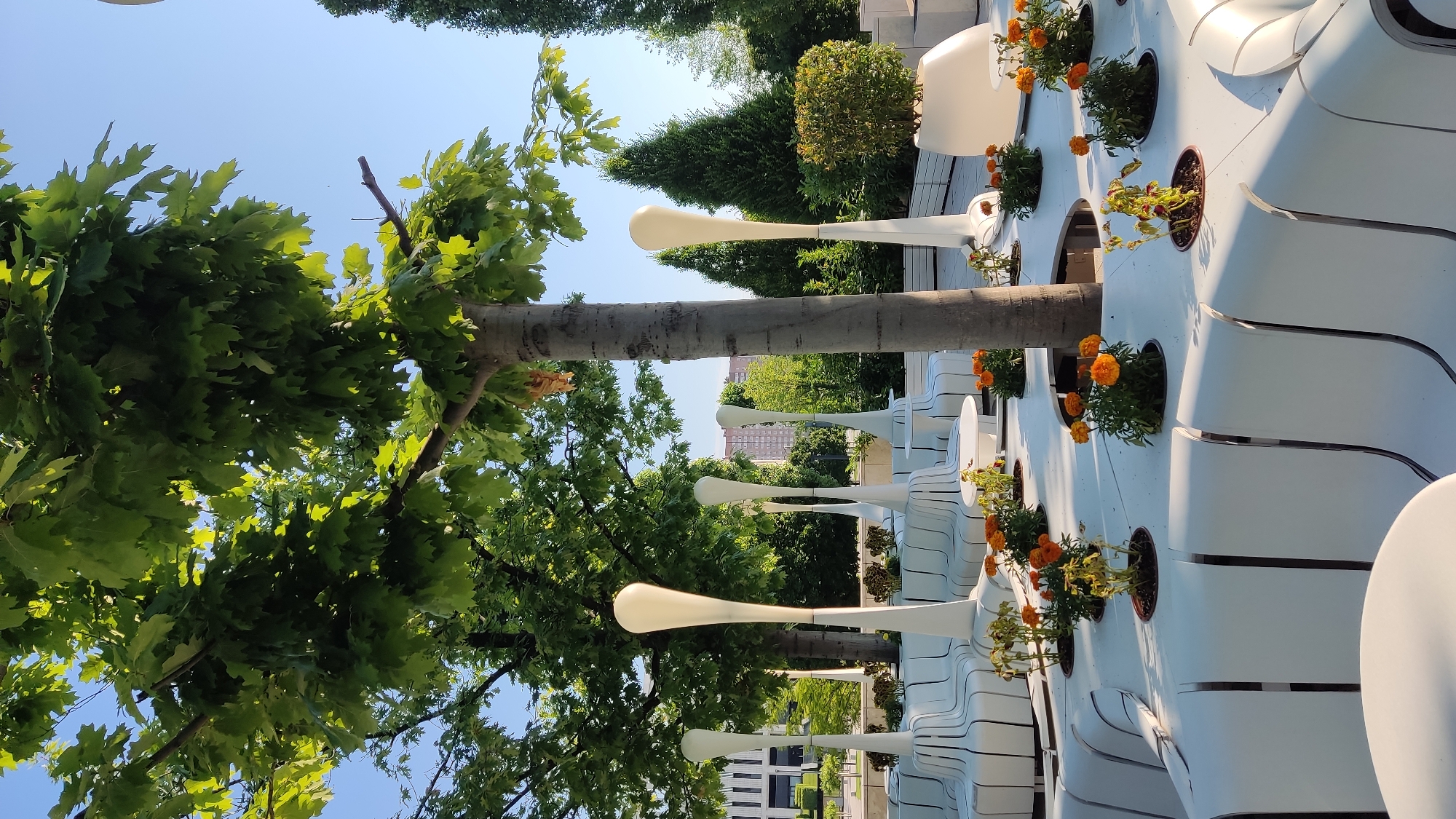 A modern urban park scene in Krasnodar, Russia, features contemporary white benches with a wave-like design, interspersed with small planters containing orange marigolds. Tall, slender, white lamp-like structures rise from the bench seating, adding a futuristic element. Several trees with lush green foliage provide shade, and in the background, modern buildings are visible. The sky is clear and blue.