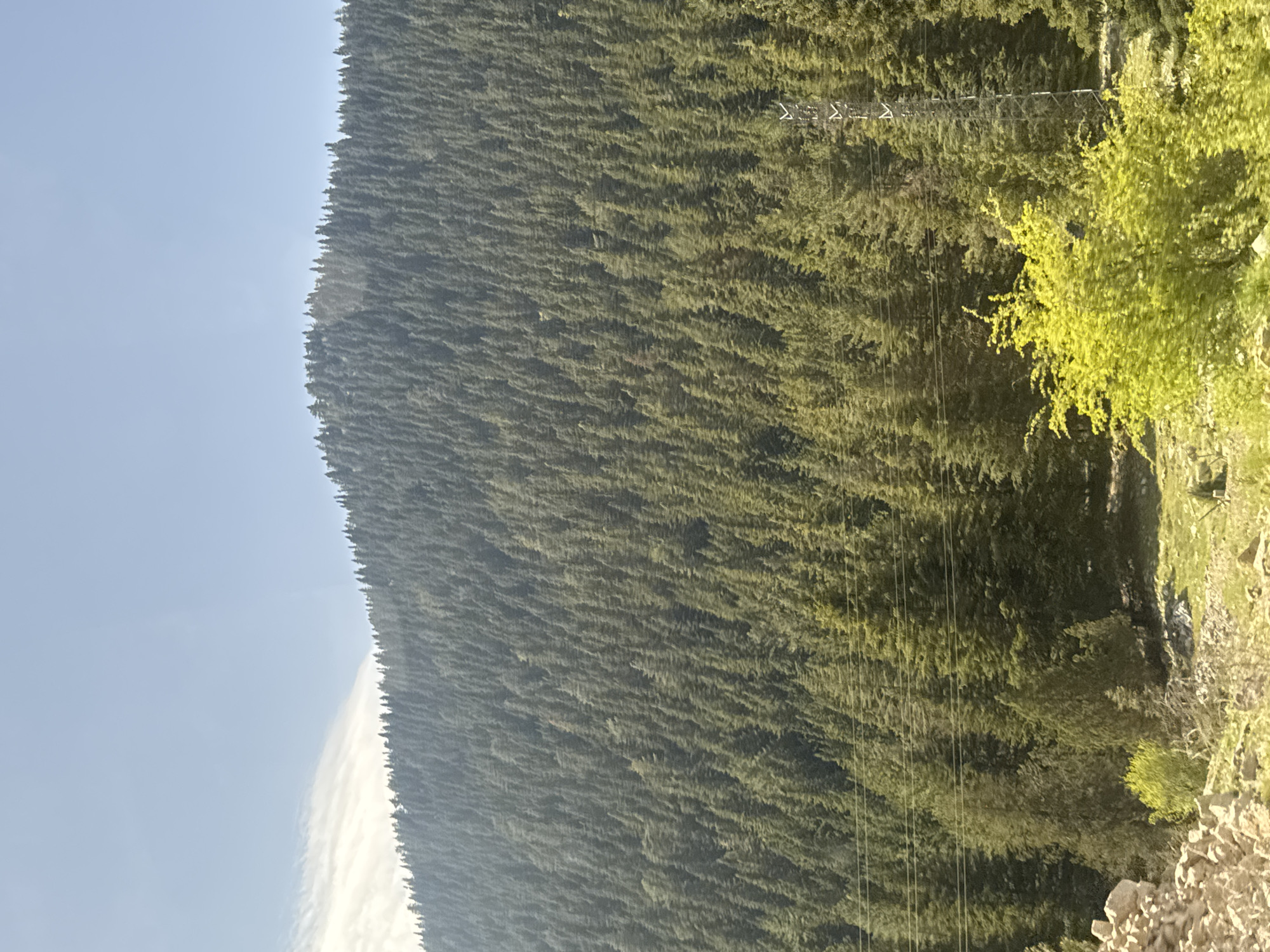 The image depicts a dense forest in Akseki, Turkey, viewed from a lower vantage point. Predominantly composed of coniferous trees, the forest extends up a steep hillside. A clear blue sky is visible to the left of the image. On the right of the forest are other various shrubberies. Electrical transmission lines are crossing over a portion of the forest. The bottom right corner reveals a rocky and sparsely vegetated area, suggesting an embankment or roadside.