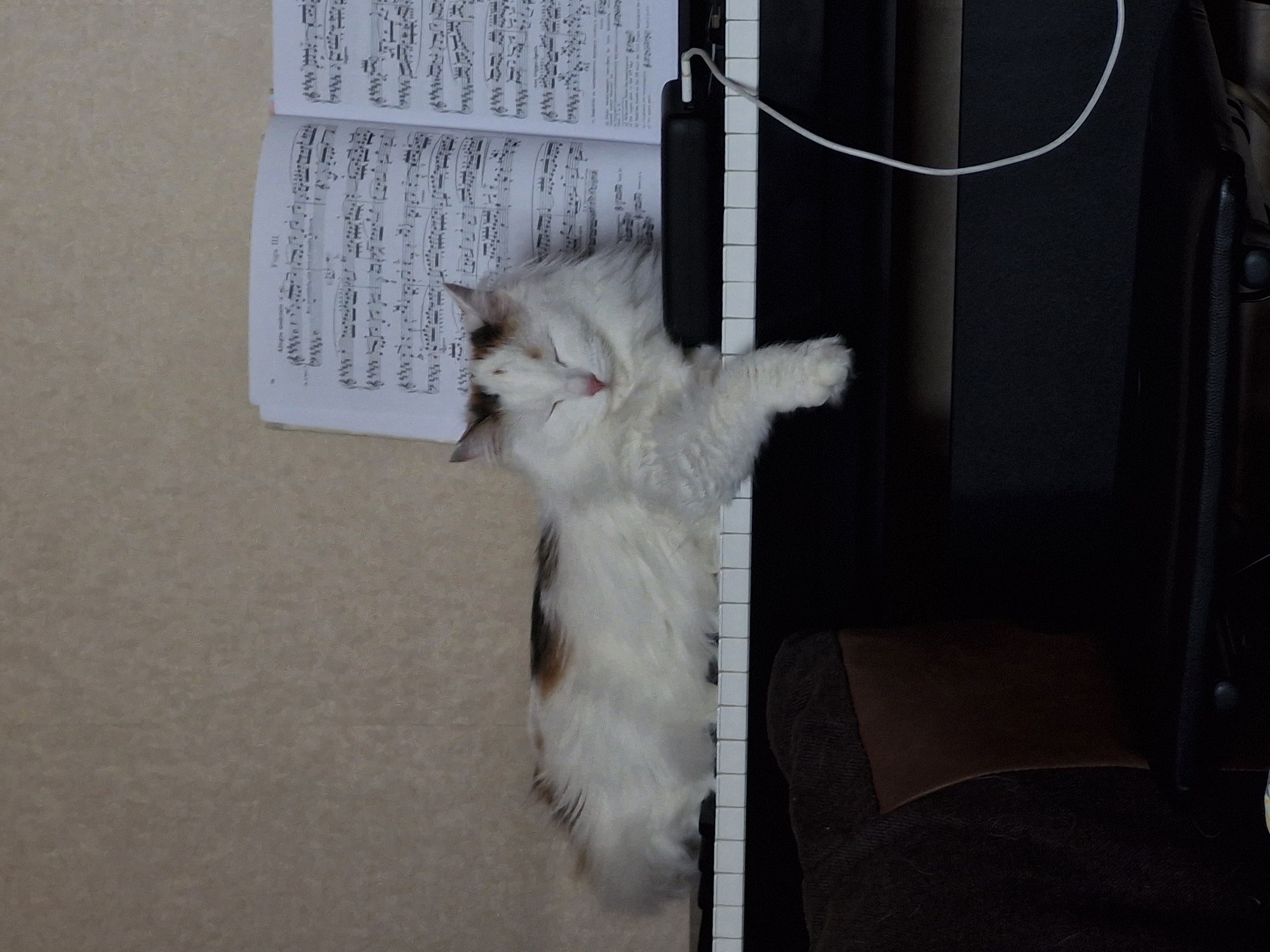 A long-haired calico cat sleeps on the white keys of a piano. A book of sheet music rests partially on the piano and adjacent wall. A white wire is attached to the piano. Part of the piano bench is visible. The location is not discernible from the provided image.