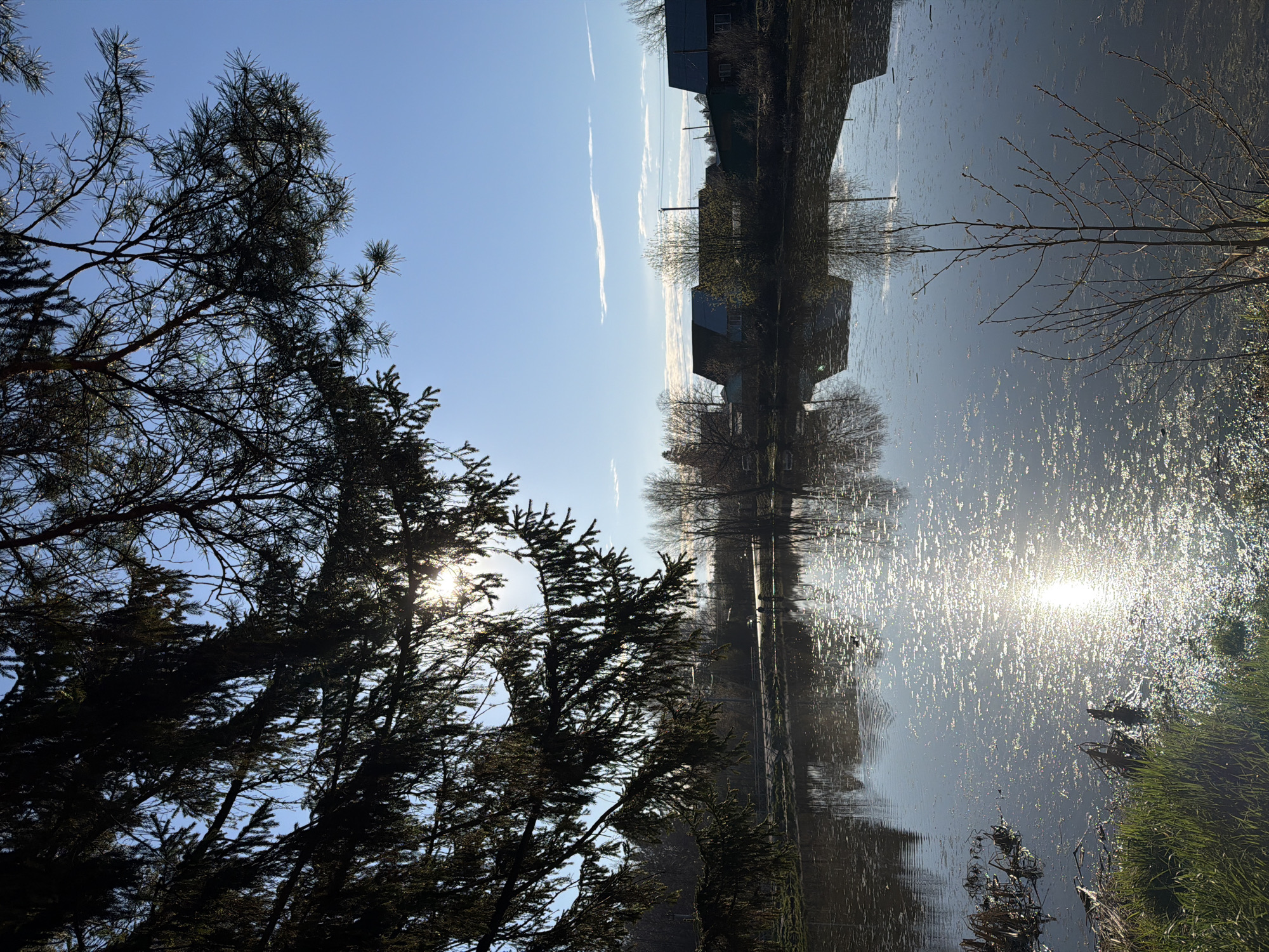 The image depicts a body of water, possibly a river or pond, with sunlight reflecting off its surface. Buildings are visible on the opposite bank, their reflections mirrored in the water. Trees line the near bank, their branches obscuring parts of the sky. The location is Chaikovsky, Russia.