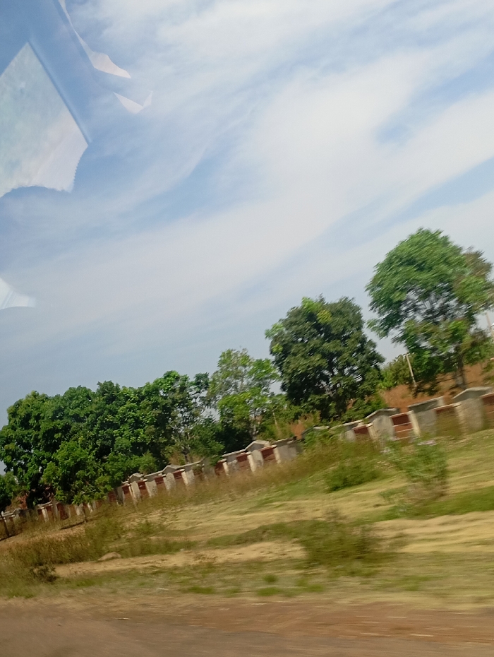 The image depicts an outdoor scene in Kumo, Nigeria, captured from a moving vantage point, likely a vehicle, evidenced by motion blur in the foreground and a reflection in the top-left quadrant. The sky occupies the upper two-fifths of the frame, showing a light blue expanse with scattered wispy white clouds. Below the sky, a dense line of various green deciduous trees forms the horizon, extending across the entire width of the image. Beneath the tree line, a continuous low fence or wall is present, constructed from light-colored concrete pillars separated by reddish-brown panels or sections. The fence follows a slightly undulating path. The middle and foreground consist of dry, unkempt grassland with patches of exposed earth, showing textures indicative of dry vegetation and soil. The immediate bottom-left foreground shows a dark, flat surface consistent with an unpaved road or dirt path. No individuals or animals are visible.