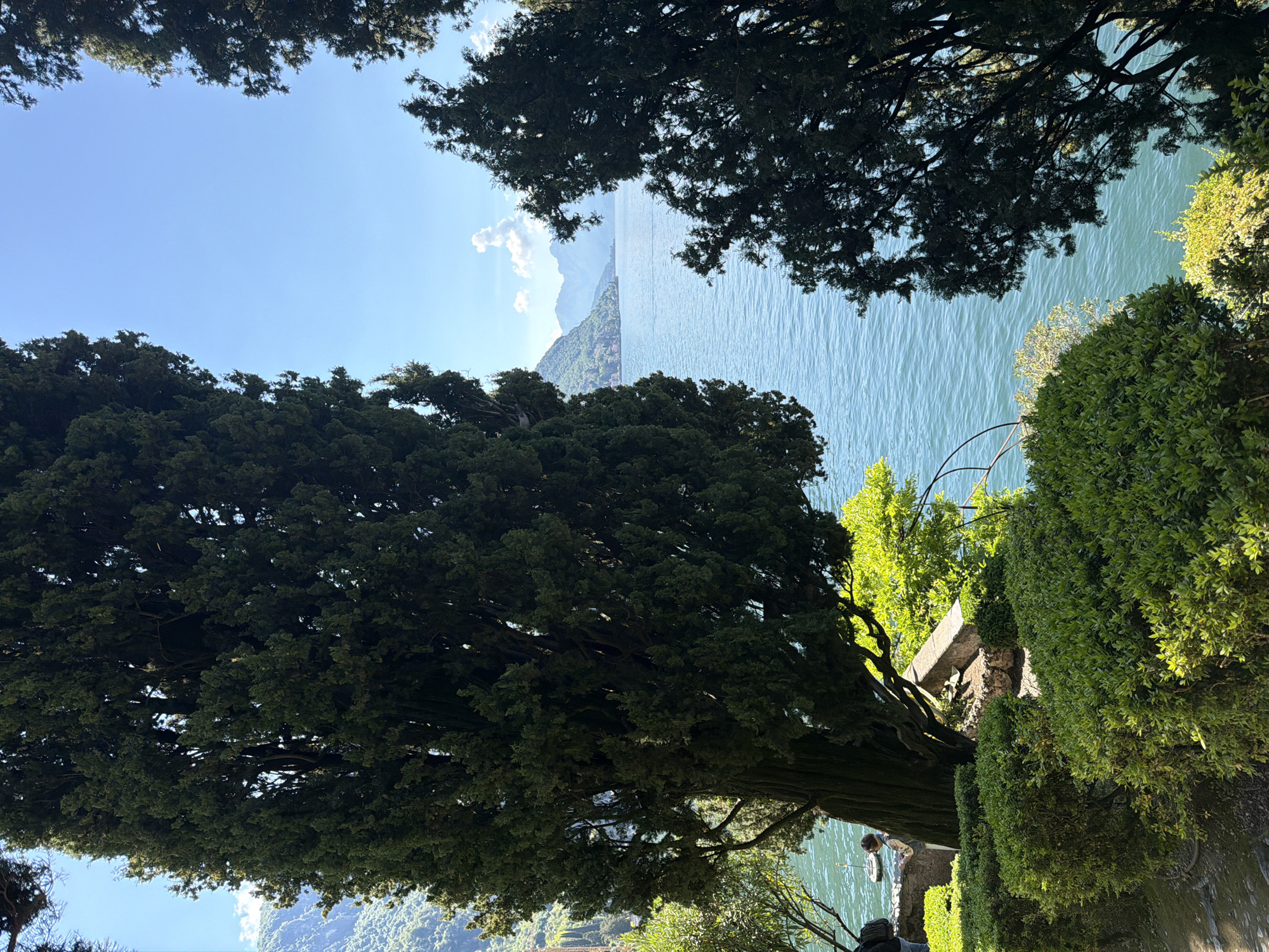 The image shows a view of Lake Como, Italy, framed by trees, likely taken in the city of Varenna. The lake fills the center of the frame, with mountains visible across the water. A large, dense tree dominates the lower left side of the image. Various bushes and trees are on the right. Two people are near the base of the tree in the bottom center. The sky is blue, with some clouds above the mountains in the distance.
