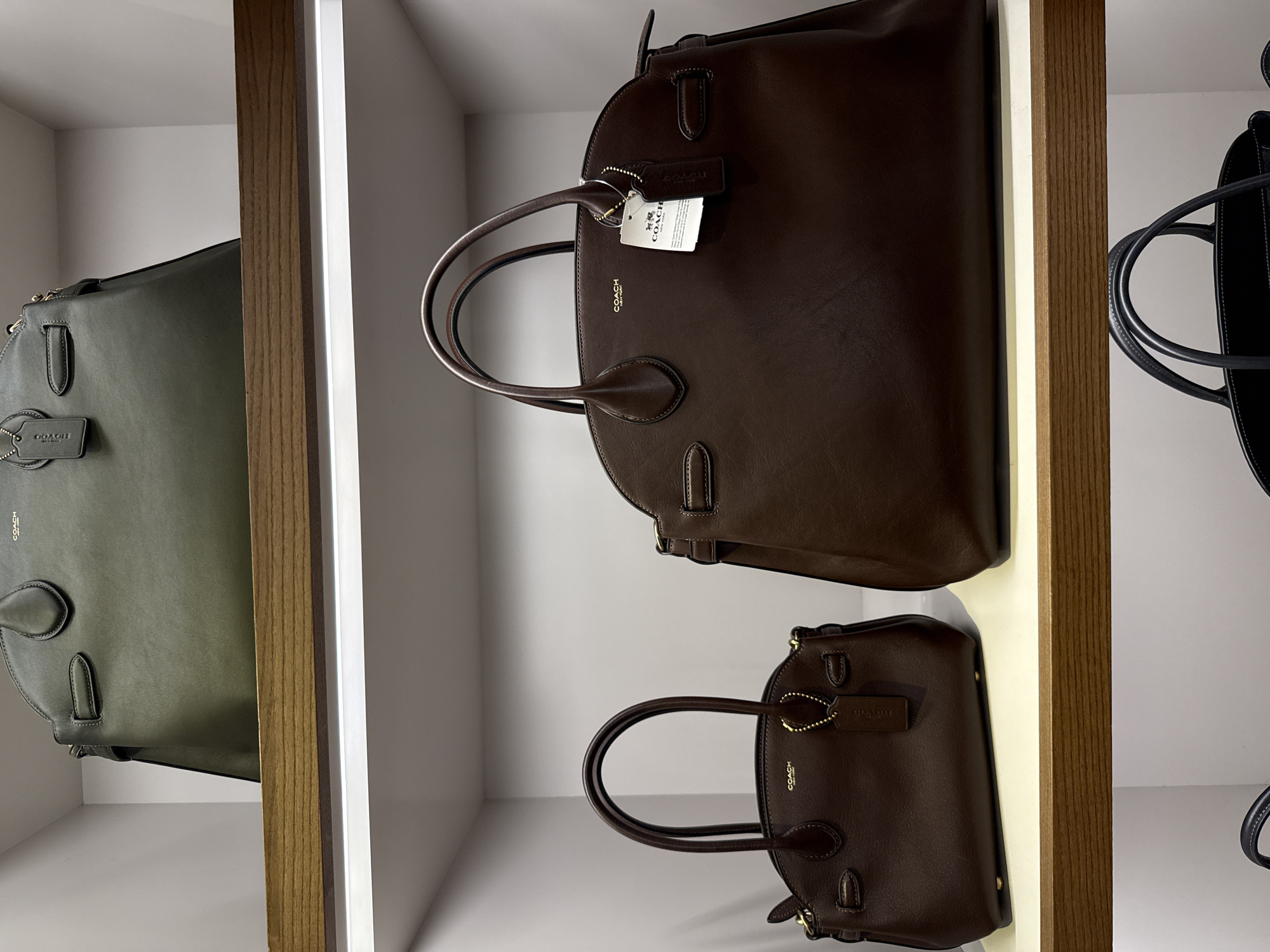 The image shows three leather bags on shelves in what appears to be a retail environment. The bags are positioned side by side and appear to be new with tags. The first bag is a green color, the second one is a large, dark brown bag with a tag on the handle, and beneath it is a smaller version of the dark brown bag. The black bag is cut off and not fully visible on the right side of the image. The shelves have a white background with a wood-like material for the outer frame. Given that the image was captured in Sunrise, United States of America, this is likely a store display in a retail setting.