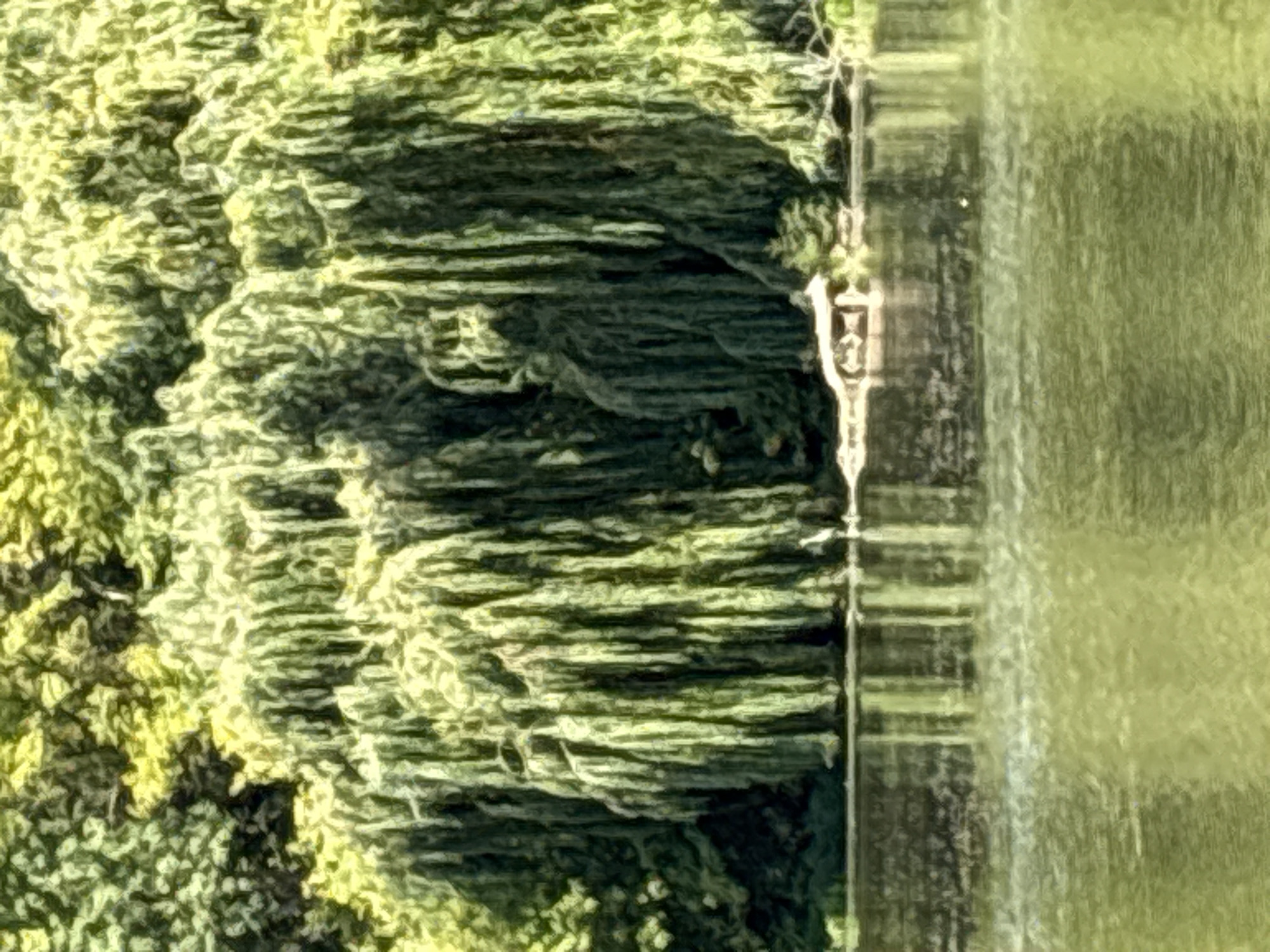 The image depicts a tranquil waterfront scene, likely a park or natural reserve, featuring a large weeping willow tree with its branches cascading down towards the water's edge. The water in the foreground is calm, reflecting the greenery of the overhanging foliage. A small, rustic structure, possibly a gazebo or shelter, is partially visible along the bank, nestled among the trees. The surrounding vegetation is lush and verdant, suggesting a warm, sunny day. The scene evokes a sense of peace and natural beauty. This location is identified as being in the city of Lanivtsi, Ukraine.