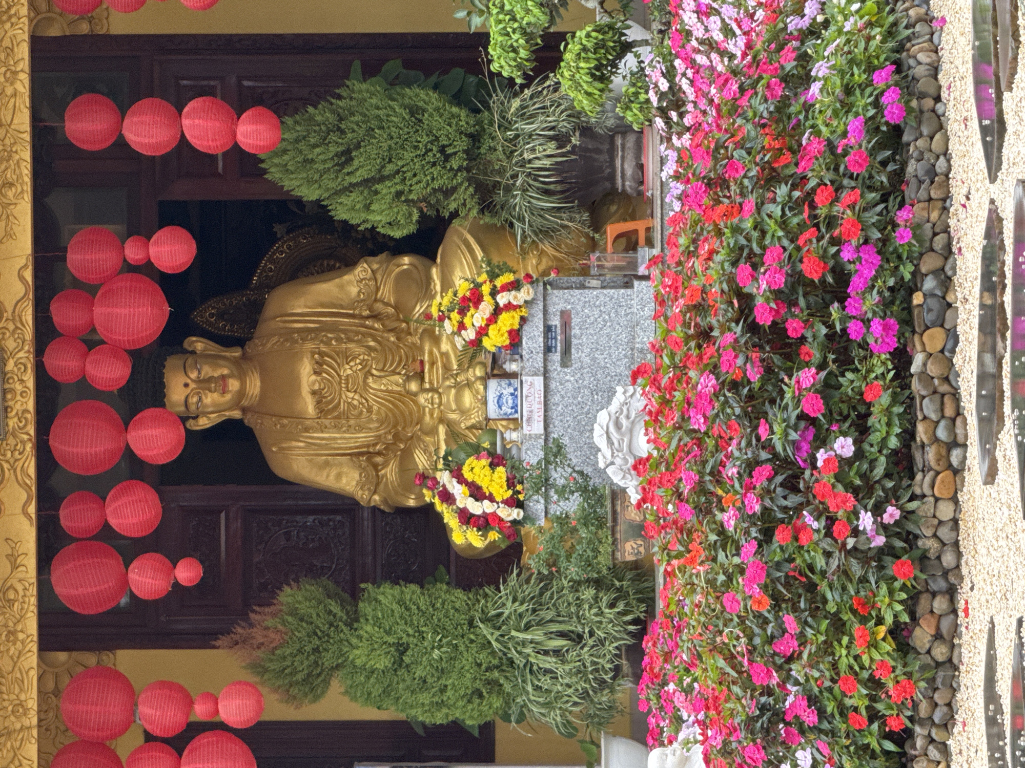 This is a full, eye-level shot of the exterior of a Buddhist temple in Da Lat, Vietnam, featuring a large, golden Buddha statue seated behind a stone altar decorated with a bouquet of red, yellow, and white flowers. The Buddha is positioned in front of dark wooden doors, partially obscured by the surrounding vegetation and red paper lanterns hanging above. Two evergreen trees flank the Buddha statue, one on either side, adding a vibrant green contrast to the scene. In the foreground, a dense bed of colorful flowers, primarily in shades of red, pink, and purple, is arranged around the base of the altar, bordered by smooth, rounded stones. The overall impression is one of tranquility and reverence, with the natural elements of flowers and foliage complementing the spiritual presence of the Buddha.