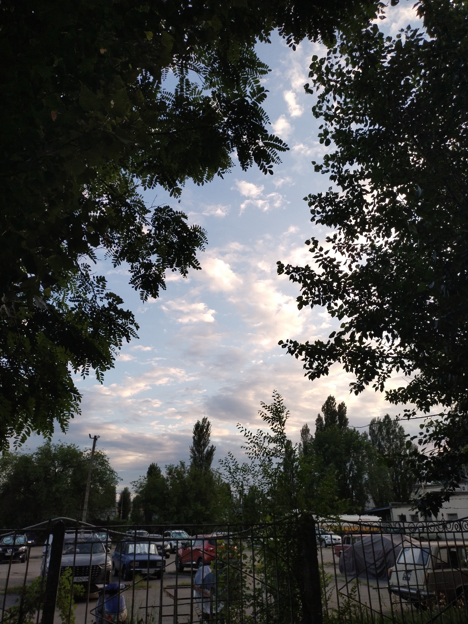 The image depicts a view of a parking lot in Horishni Plavni, Ukraine, framed by the silhouettes of trees against a cloudy sky. In the foreground, a metal fence partially obstructs the view of several parked cars. These include a dark gray SUV with a license plate reading "1 8247 IM", a blue sedan with a license plate visible, a red car, and another car covered with a gray tarp. In the background, more trees and buildings are visible. A utility pole with a light fixture stands on the left side of the frame. The sky is filled with a mix of white and gray clouds, with patches of blue sky showing through. The overall lighting suggests it is either early morning or late evening.