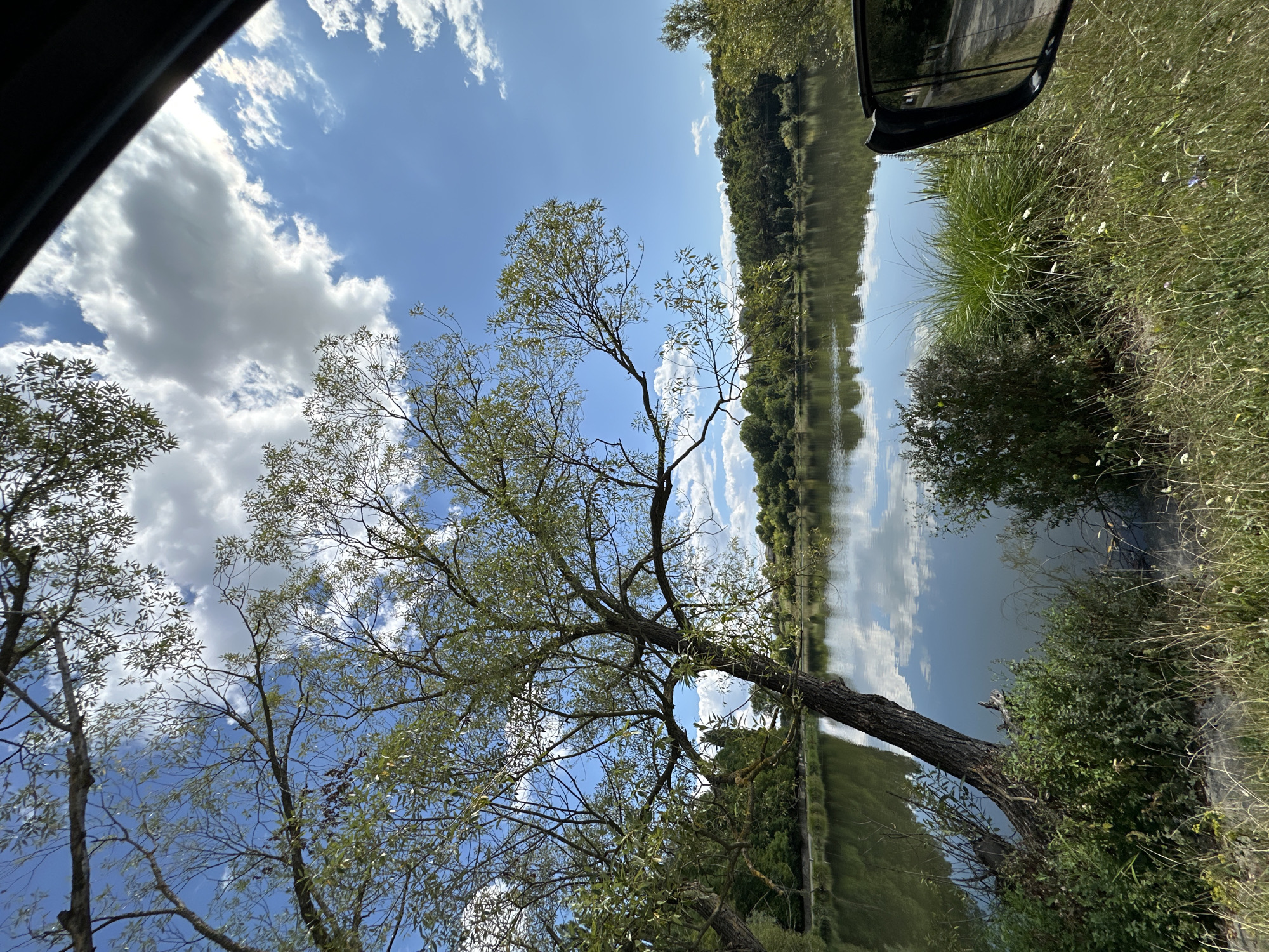 The image depicts a natural landscape, likely a park or a body of water on the outskirts of the city of Makiv, Ukraine. In the foreground, to the right, a car's side mirror is partially visible, suggesting the photo was taken from inside a vehicle. A tree with sparse leaves leans towards the right, its branches extending into the frame and partially obscuring the sky. The lake or body of water occupies the central and lower portions of the image, reflecting the blue sky and scattered white clouds. The opposite bank of the water is lined with lush green trees and vegetation, creating a dense treeline. The overall scene is bathed in natural sunlight, indicating daytime. No people are present in the image.