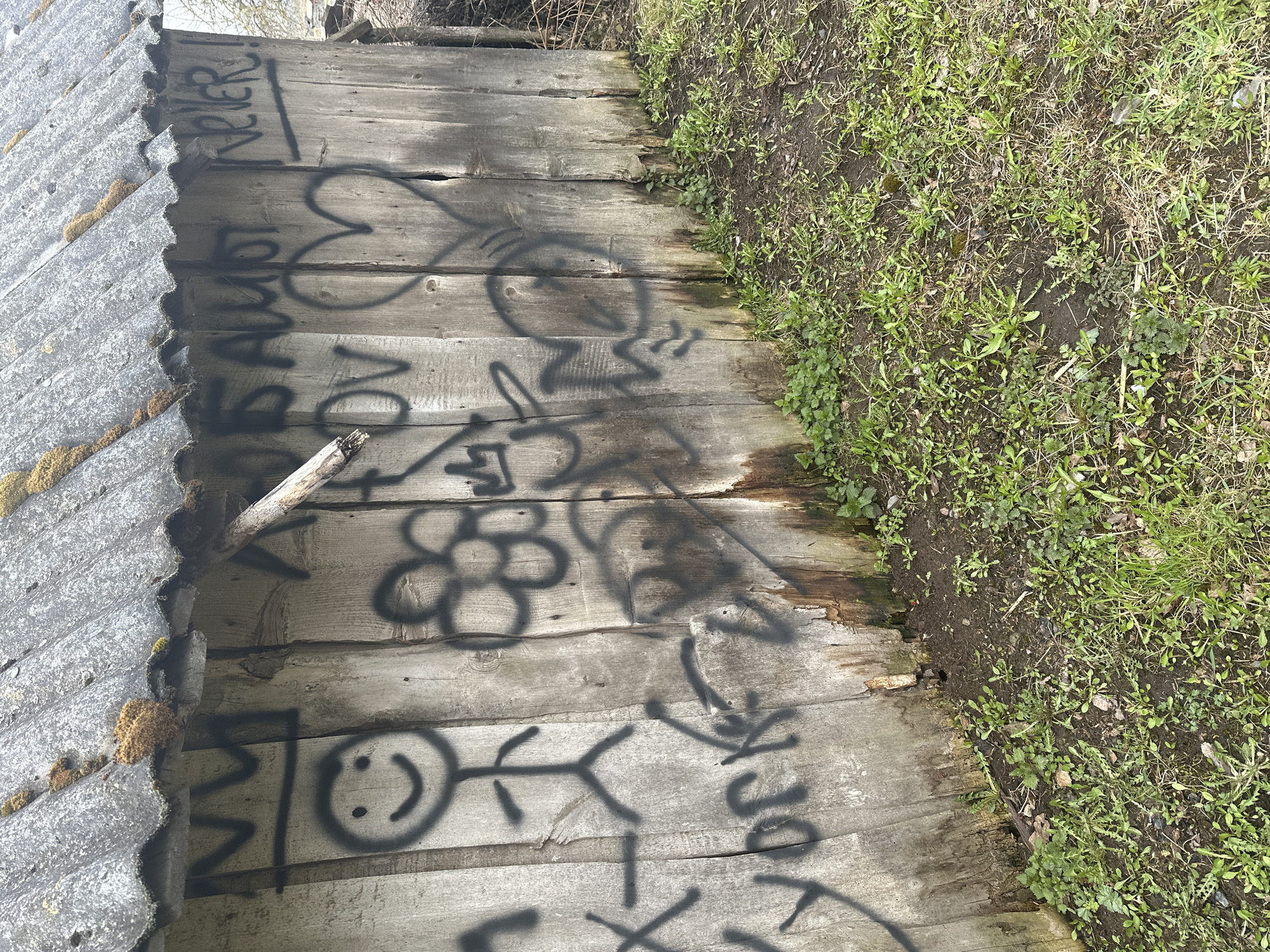 The image depicts a section of an old, weathered wooden fence or wall in Студзёнкаўскі сельскі Савет, Belarus. The wood is grayed and shows signs of age and decay. The surface is covered in black spray-painted graffiti, including hearts, a flower, a stick figure, and words or phrases. Some of the graffiti appears to be faded or incomplete. To the left of the wooden structure is a section of corrugated roofing material with moss growing on it. Adjacent to the right edge of the wooden structure is a patch of grass and various small plants growing in the soil. The overall scene suggests an abandoned or neglected area.