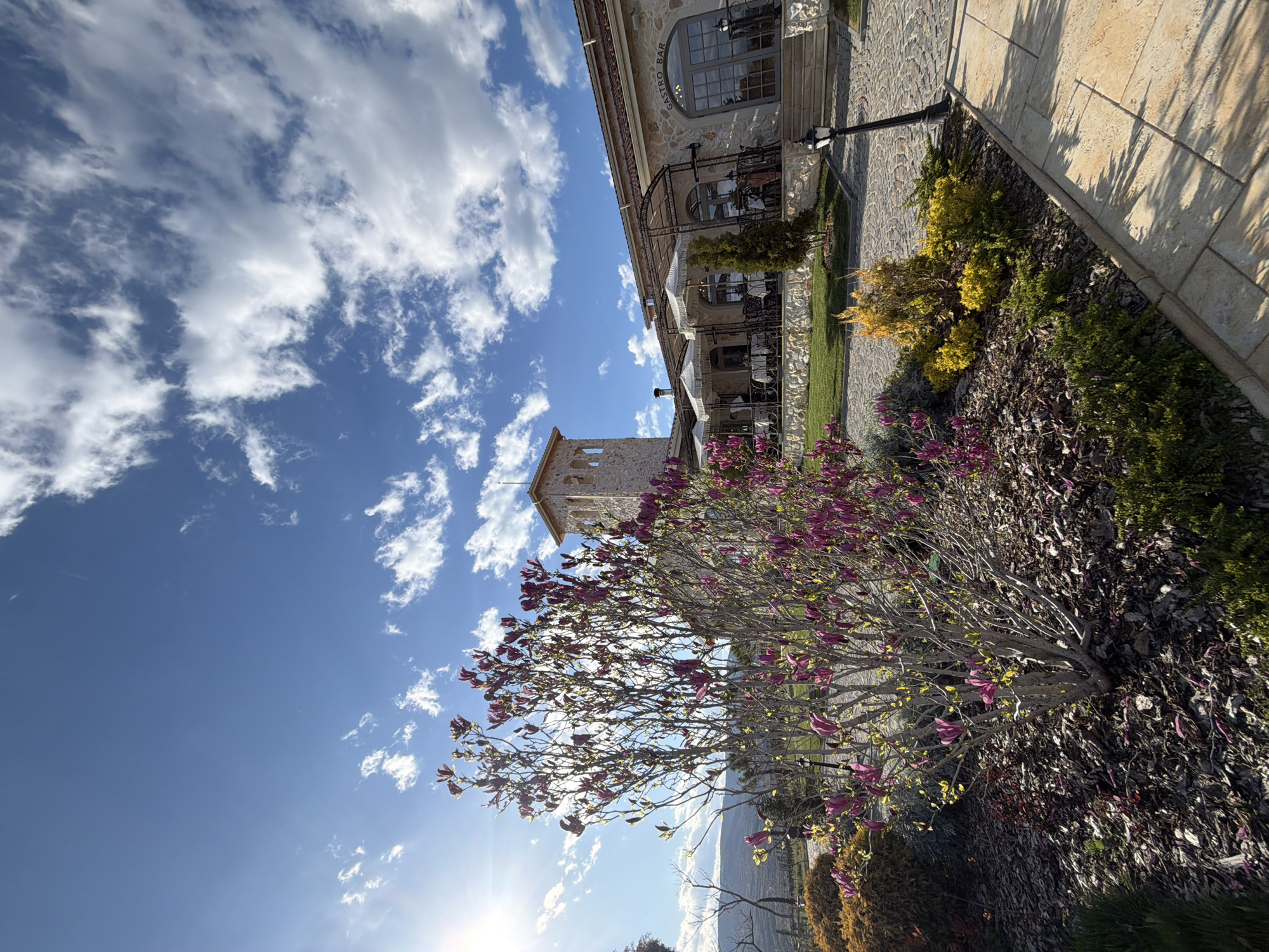 The image depicts a sunlit outdoor scene, possibly in Kocherinovo, Bulgaria, featuring a stone building complex. Part of a building with a "GASTRO BAR" sign is visible, suggesting a dining or entertainment establishment. A tower-like structure is also present. In the foreground, a flowering shrub with purple blossoms is featured prominently, set against a ground cover of mulch and various other plants. Above, the sky is blue with scattered white clouds. The overall impression is of a well-maintained, pleasant outdoor space.