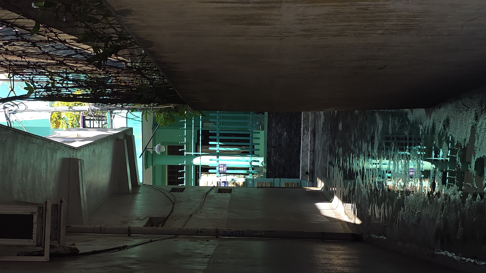 The image appears to be taken in an alleyway in Nha Trang Ward, Vietnam, looking up. The foreground is dark, with a concrete ceiling overhead and concrete walls on the sides. The walls are stained and appear to be damp, with a textured surface that suggests weathering.
Looking upward and out of the alleyway, there is a view of the buildings. The architecture is simple and modern, painted a light green with some white trim. There is a decorative metal gate and some sort of electrical equipment visible. Above, a vine or climbing plant covers a wire trellis, partially obscuring the sky and the building. The sunlight hitting the building suggests the time of day is midday. There is no evidence of people.