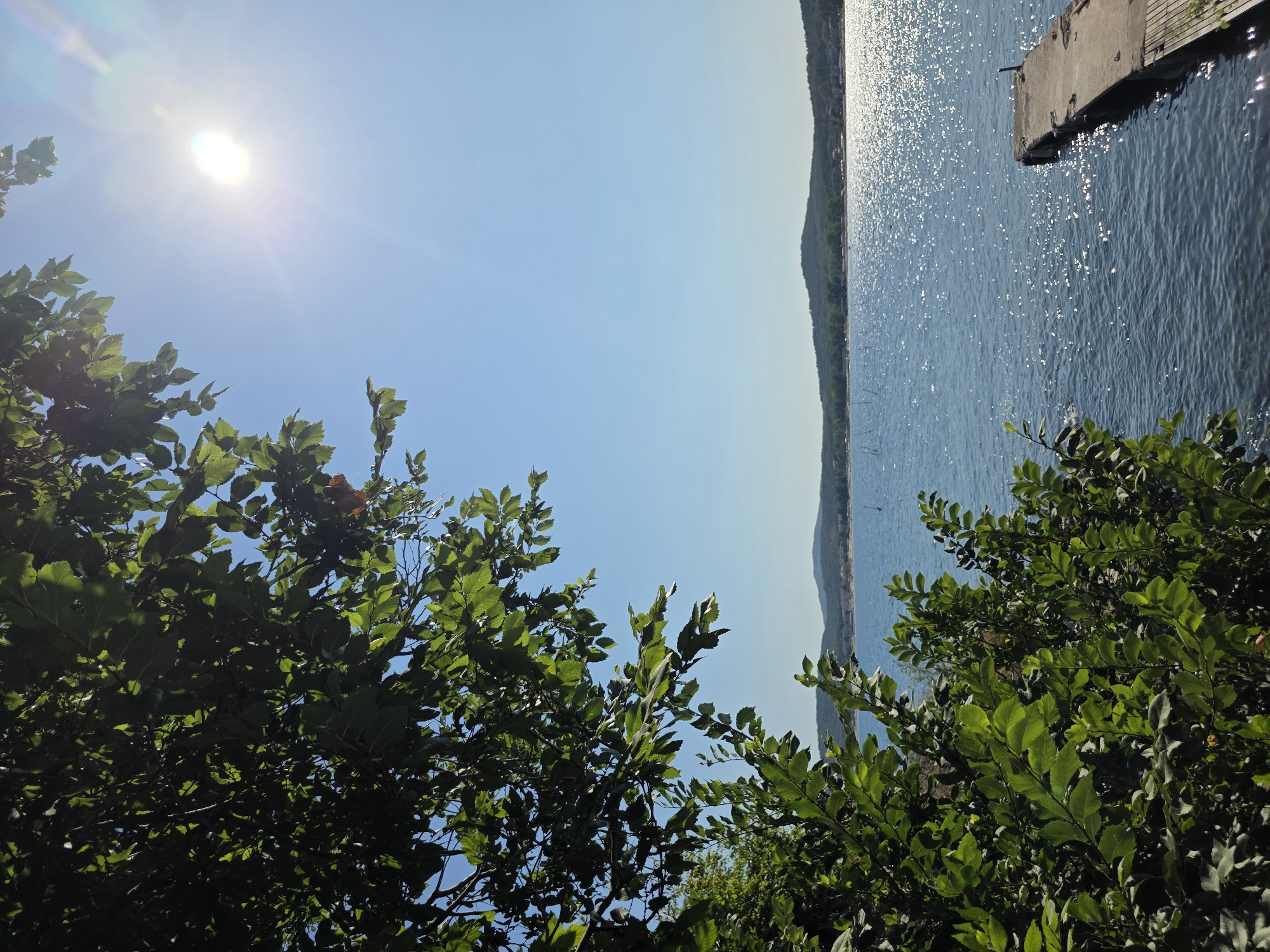 A sun-drenched scene depicts a tranquil body of water, likely the Black Sea, viewed from a verdant vantage point in Sozopol, Bulgaria. Lush green foliage frames the left side of the image, its leaves dappled with sunlight. The water, a deep blue, is alive with the shimmering reflection of the sun, which is high in a clear, bright sky. A concrete pier with weathered wooden planks extends into the water from the right, its surface also reflecting the sunlight. In the distance, a low, tree-covered coastline stretches across the horizon, dotted with buildings suggesting a settlement. The overall impression is one of peaceful, natural beauty on a warm, sunny day.