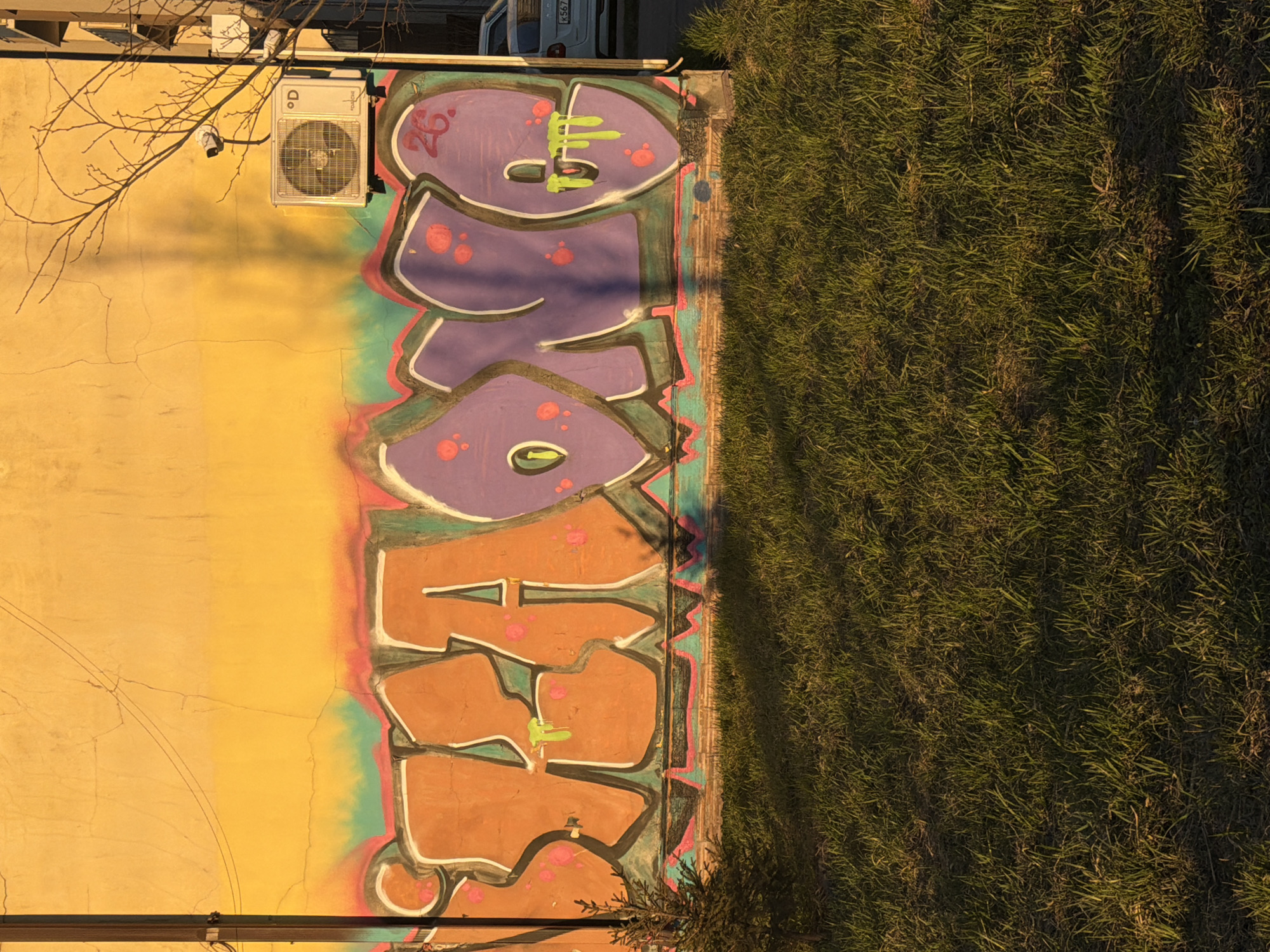 A ground-level view of a building in Murino, Russia reveals an exterior wall adorned with graffiti. The graffiti consists of stacked, stylized block lettering in purple and orange, with accents in green and pink. The wall itself is yellow and cracked, and an air conditioning unit is mounted on it. To the right of the wall is a patch of green grass. A tree branch extends into the frame from the top left, and a car is partially visible in the upper center.