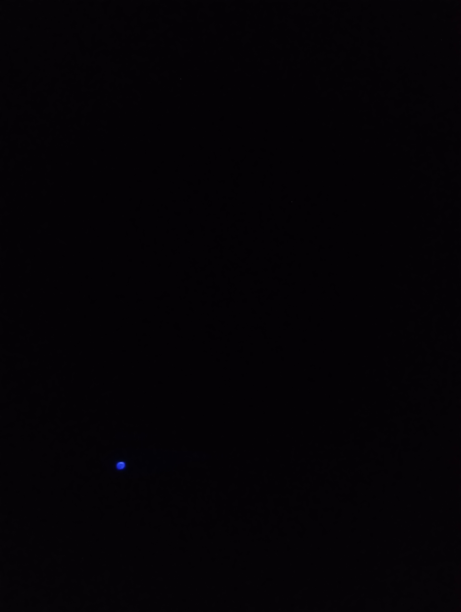 The image shows a very dark scene with a single, small, blue light source positioned in the lower left quadrant. The background is entirely black, suggesting it is nighttime or a very dimly lit environment. There are no other discernible objects or features in the frame. The location in the city of Ust-Altan, Russia cannot be determined from the visual information provided.