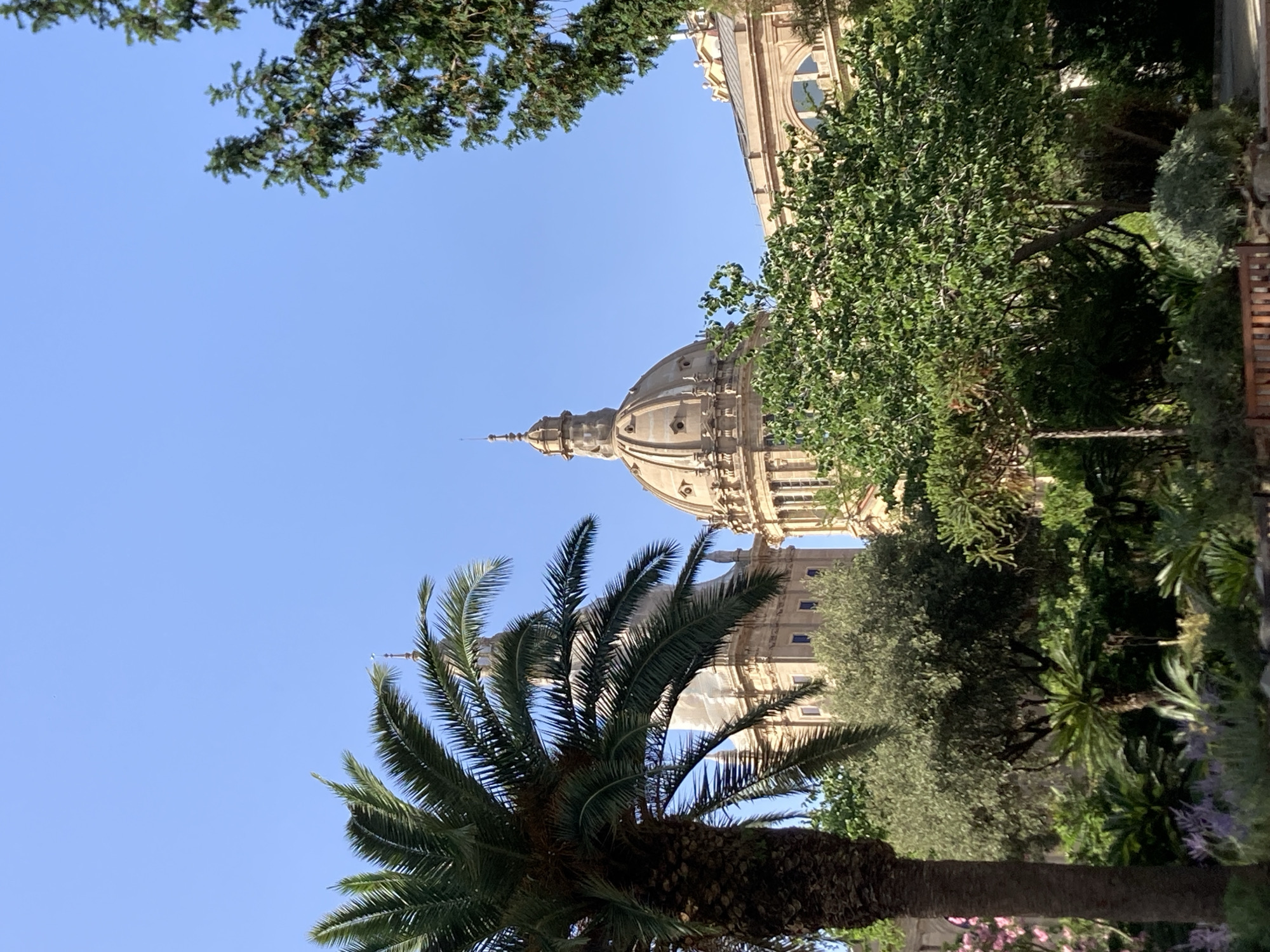 This is a photograph taken on a clear day in Barcelona, Spain, likely from the Montjuïc hill, given the architectural style. The image features a large, domed building with classical architectural elements, including columns and ornate detailing, partially obscured by lush greenery. In the foreground, a prominent palm tree stands to the left, its fronds reaching towards the bright blue sky. Various other trees and plants, including a cycad and flowering shrubs, fill the middle ground, creating a garden-like setting. A portion of a second domed structure is visible to the left of the main building. The overall scene depicts a grand architectural landmark set within a vibrant, verdant landscape. There are no people or animals visible in the frame.
