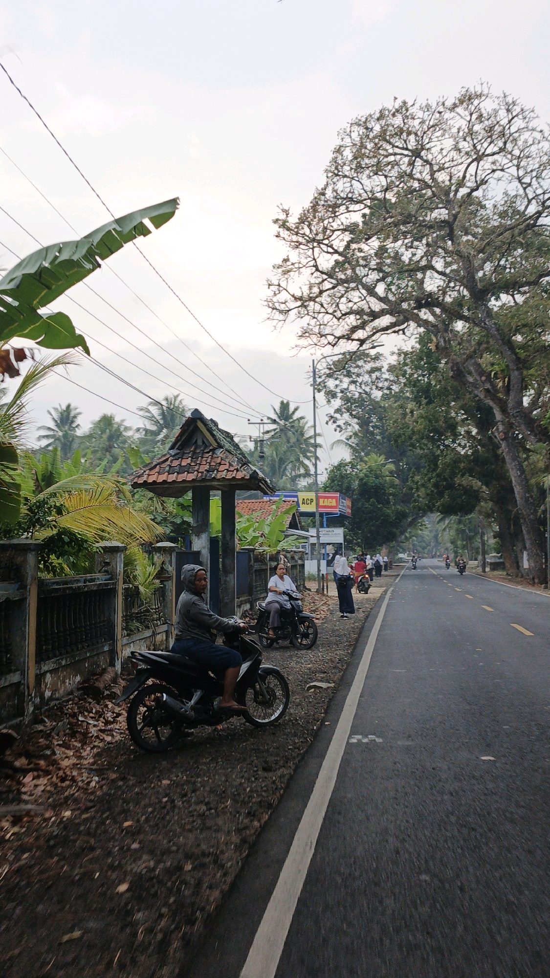 This is a medium shot photograph taken from a low angle, looking down a paved road lined with trees and vegetation. In the foreground, on the left side of the road, a man is sitting on a black motorcycle. He is wearing a grey hooded jacket and dark blue shorts. The motorcycle is parked on a dirt and leaf-covered shoulder. Behind him, to the right, a woman is sitting on another black motorcycle. She is wearing a light-colored top and dark pants. She is looking forward.
Further down the road, on the right side, several people are standing and walking. One person in a white head covering and white shirt is standing. Another person wearing a blue head covering and dark clothes is standing near a building. Further down the road, there are more motorcycles and people, and the road curves to the right, flanked by a dense line of trees with large branches.
On the left side of the road, there is a dark fence. Behind the fence, there are lush green plants, including large banana leaves and palm trees. A small structure with a tiled roof, possibly a bus stop or shelter, is visible on the shoulder of the road near the fence. A sign with red and white lettering, reading "ACP KACA", is visible on a building behind the shelter. The sky is overcast. The scene appears to be in a rural or semi-rural area. The presence of motorcycles and the style of dress suggest a location in Indonesia, possibly in the city of Sukaresik.