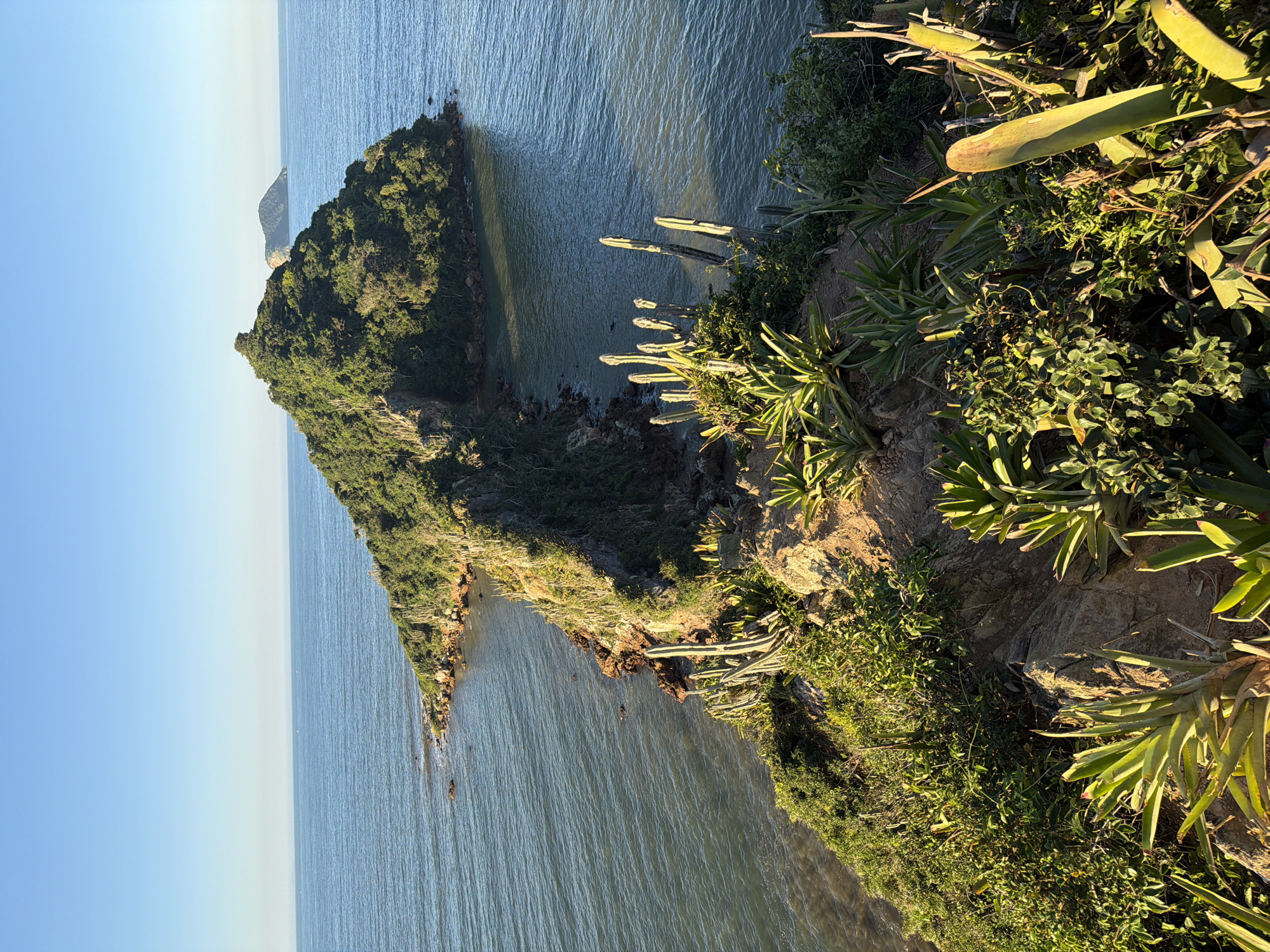 The image depicts a stunning coastal landscape in Armação dos Búzios, Brazil. In the foreground, a rocky cliff covered with lush green vegetation, including cacti and bromeliads, overlooks the ocean. A narrow strip of land, also covered in greenery, extends into the sea, forming a peninsula. This peninsula leads to a larger, densely forested island with a rocky peak. In the distance, another smaller, tree-covered island is visible on the horizon. The sea is calm and blue, reflecting the clear, bright sky. The sun is shining, casting shadows on the terrain. No people or animals are visible in the image.