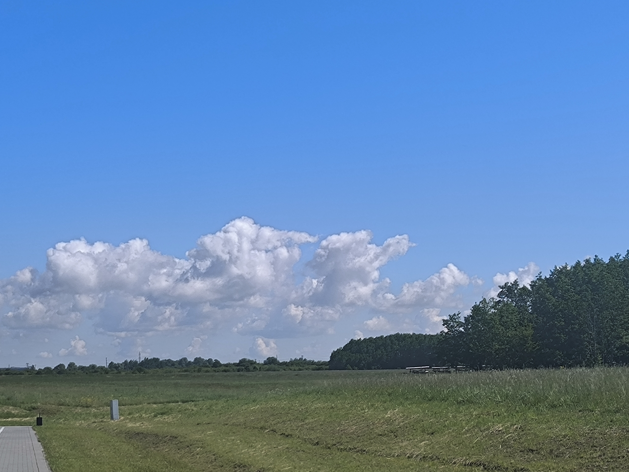 An outdoor, wide shot captures a bright, sunny day over a vast, green field. The sky is a clear, vibrant blue, punctuated by large, fluffy white cumulus clouds that dominate the upper portion of the frame. In the distance, a line of dark green trees forms a dense forest, with a few structures peeking through the foliage. The foreground features a grassy field, with a paved path or walkway visible on the lower left. Two grey cylindrical posts are also present in the field, suggesting the area may be used for marking or infrastructure. The overall scene is serene and natural, with a hint of human presence. The location is Laskino, Russia.