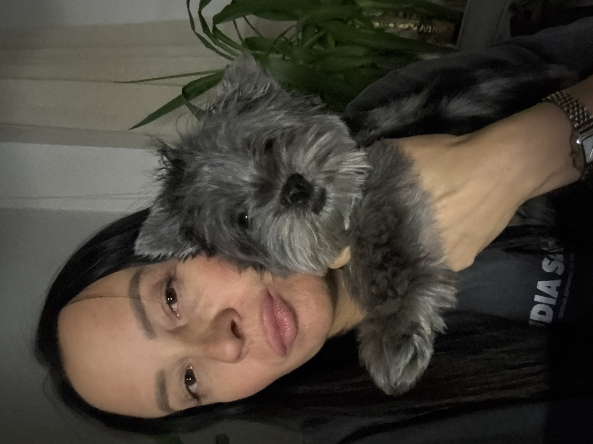 A woman with dark hair is holding a gray, fluffy dog close to her face. She is wearing a watch on her wrist. The background includes greenery, potentially a houseplant, and a white wall. The location is not discernible from the image.