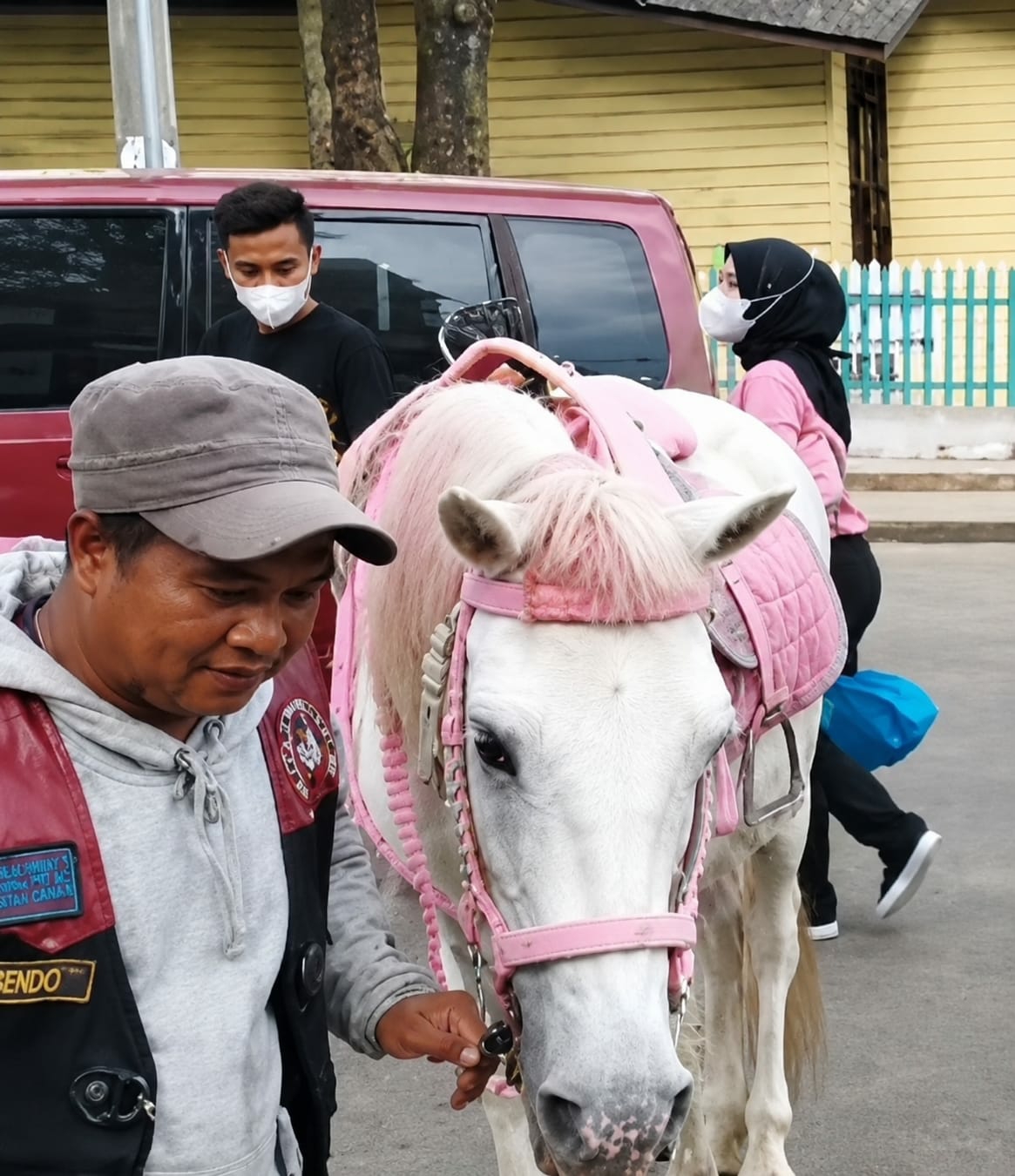 In Berastagi, Indonesia, a white horse adorned with a pink saddle and bridle stands ready. A man wearing a grey cap and a vest over a grey hoodie is on the left, facing the horse and holding its reins. Behind him, a man wearing a black t-shirt and a white face mask looks down. To the right of the horse, a woman in a pink top and black hijab, also wearing a white face mask, walks away. A maroon vehicle is parked behind the people and the horse, and a yellow building with a blue and white fence is in the background.
