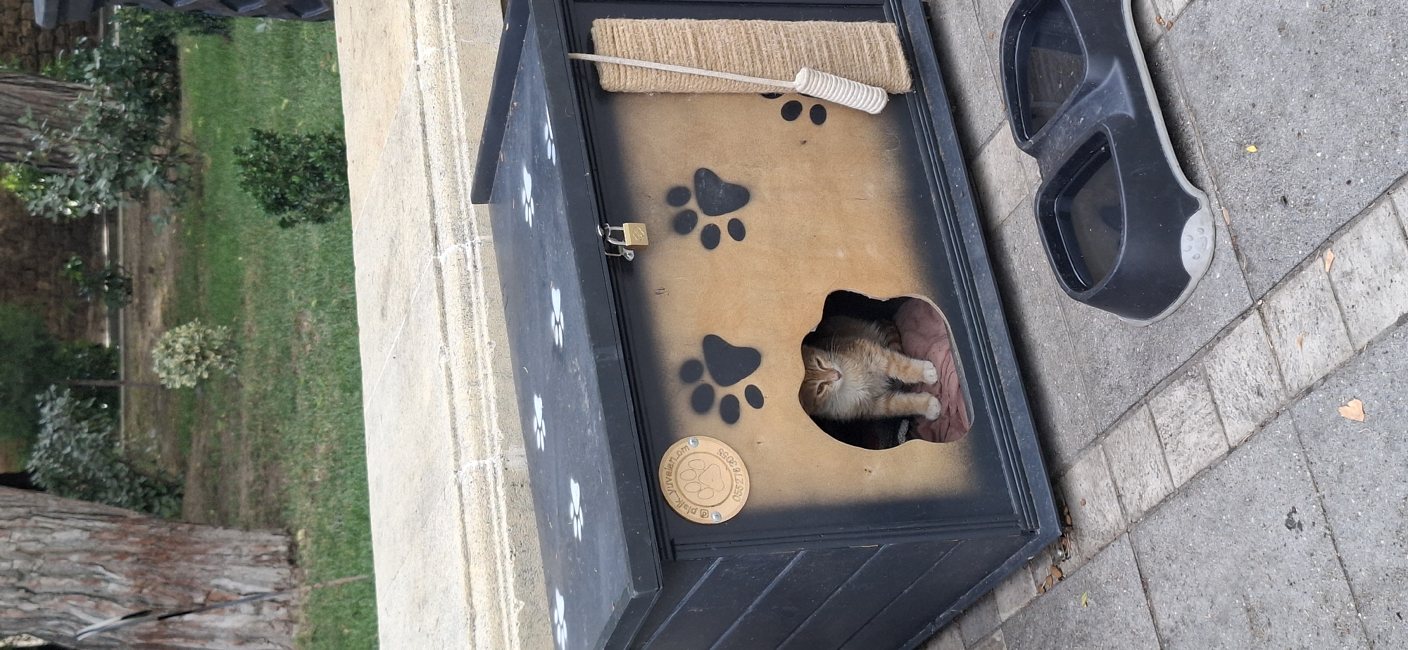 In an outdoor setting, an orange tabby cat sits in the entrance of a dark-colored, outdoor cat house. The cat house is decorated with white paw prints on its top and black paw prints on its front. A small, gold-colored padlock secures the lid of the cat house. A circular wooden emblem with paw prints and text is attached to the left side of the cat house. Next to the entrance, a sisal scratching post is attached to the side of the house. In the foreground, a double black pet bowl, one side containing water, rests on a paved surface. The background shows a grassy area with trees and bushes.