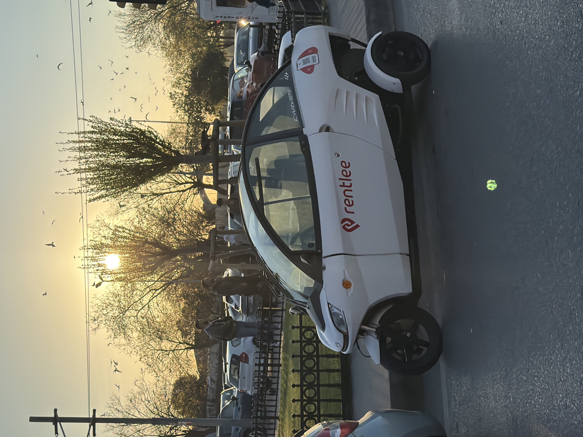 The image shows a white Carver R+ electric vehicle parked on the side of a street in Kadıköy, Turkey. The vehicle has a "rentlee" logo on its side and a Carver logo on its rear. Several other cars are parked behind it. A black iron fence separates the street from a grassy area. A group of people stand in the background near the fence. In the sky, numerous birds fly. The sun is setting behind the trees, creating a warm, golden light. Power lines are visible in the lower left corner. The street is paved with asphalt.