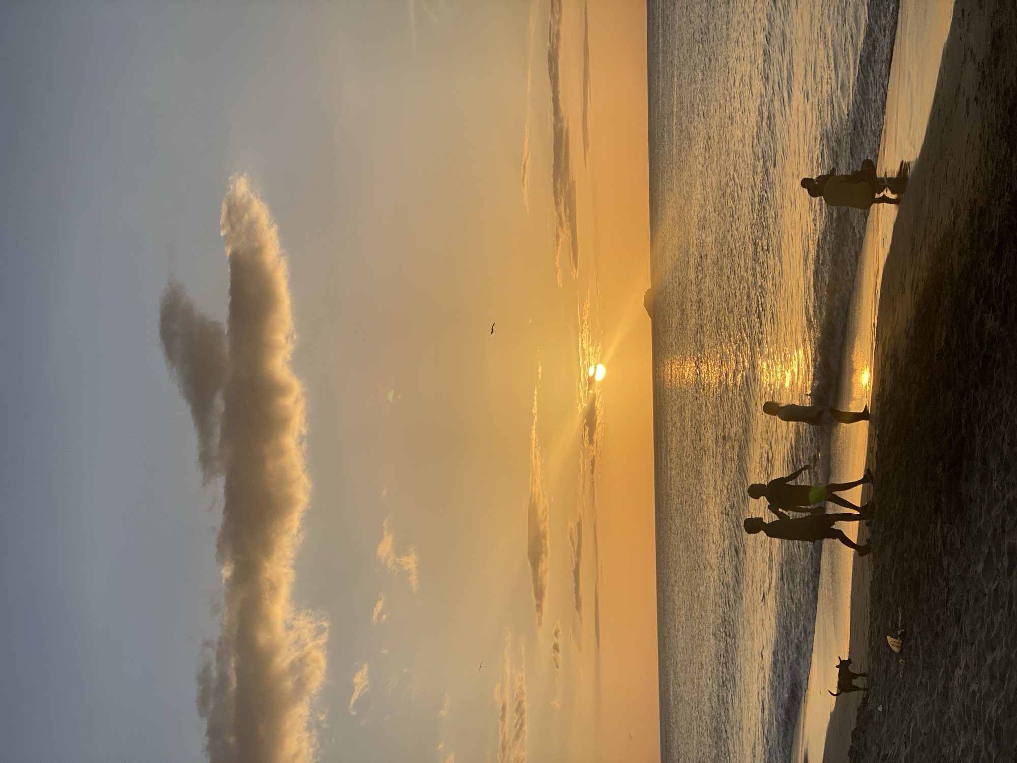 The image depicts a beach scene at sunset in Pedro González, Venezuela. The sun is low on the horizon, casting a warm, golden glow across the sky and reflecting on the ocean. A few clouds are illuminated by the setting sun, with some appearing orange and others a soft pink. In the distance, a small island is visible.
On the sandy beach, several individuals are present. In the foreground, three people are walking along the shoreline. To their left, a small dog stands on the beach. Further down the beach, near the water's edge, two figures, one appearing to be an adult crouching and holding a child, are interacting by the water. The waves are gently rolling onto the shore. The overall impression is of a peaceful evening at the beach.