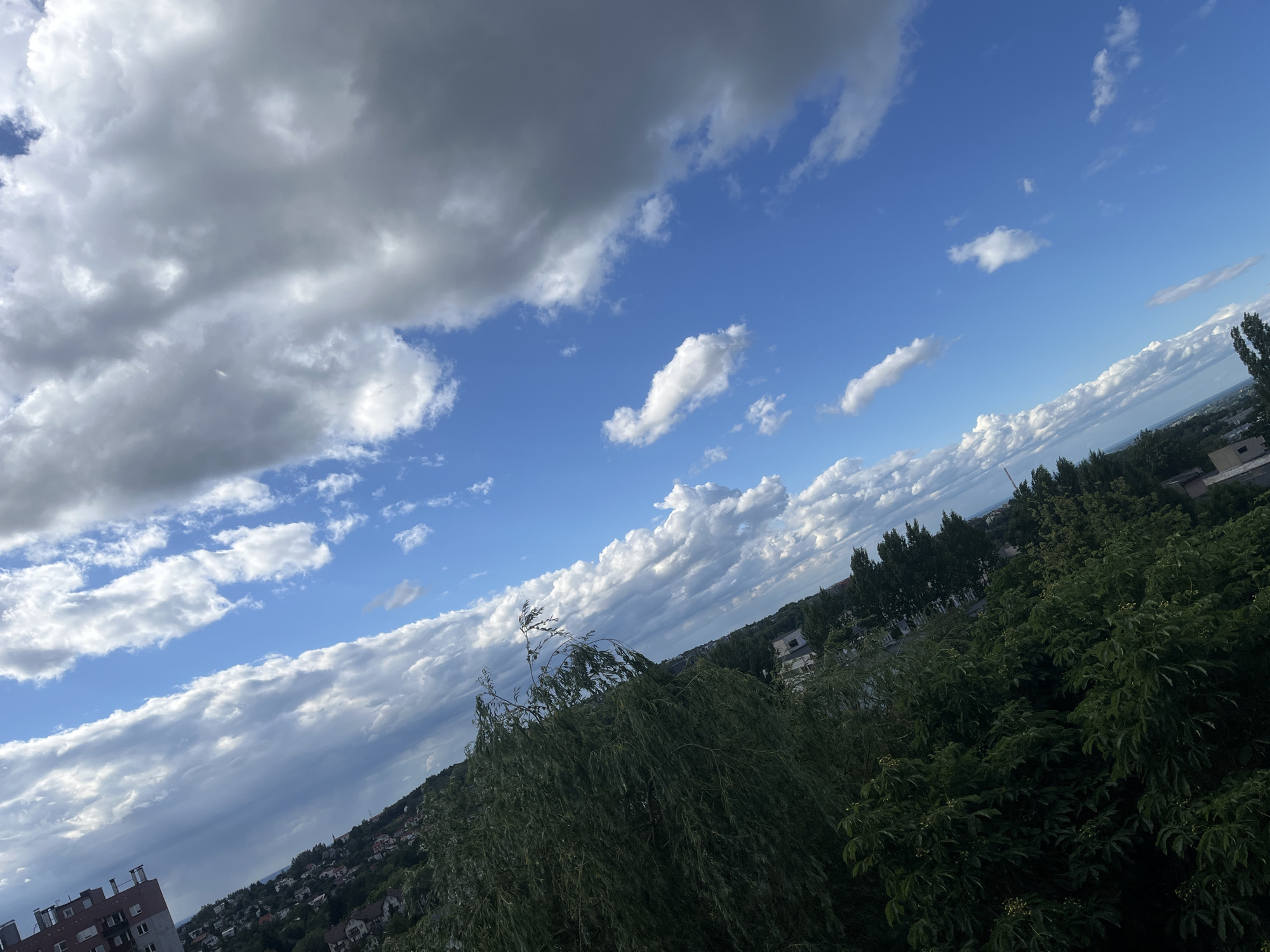The image shows a view of a city with a dense sky filled with clouds against a blue sky. In the foreground, there is lush green foliage, including what appears to be a willow tree with its branches drooping downwards. Beyond the trees, a hillside residential area is visible with numerous houses and buildings. The landscape slopes down towards a more distant view of more trees and structures, and a hint of a body of water may be present on the horizon. A multi-story building is also visible on the left side of the frame, closer to the viewer. The overall impression is a suburban or semi-urban environment on a cloudy day.