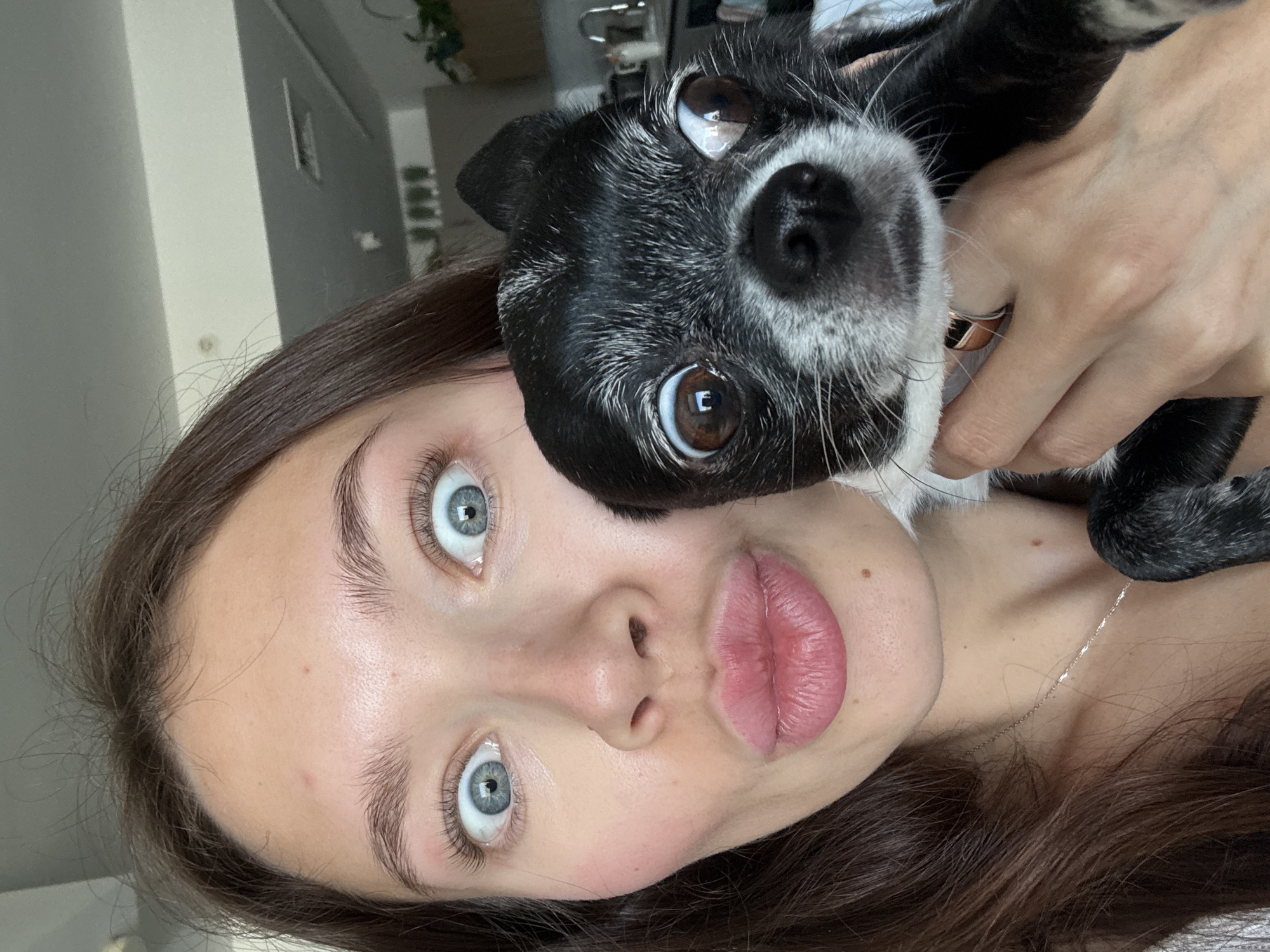 An off-kilter, close-up portrait features a young woman and a small dog, both looking directly towards the camera with wide, expressive eyes. The image is rotated 90 degrees clockwise, indicating a selfie taken in portrait mode.
The woman, with light skin, bright blue eyes, and dark brown hair, takes up the lower and right side of the frame. Her eyebrows are dark and full, and her eyes are open wide, giving a surprised or playful expression. Her lips are noticeably pursed into a "duck face" pose. A faint silver chain necklace is visible around her neck.
Snuggled close to the woman's face, positioned in the upper and left part of the frame, is a small dog. It has black fur with distinctive white markings around its snout and eyes, resembling a Boston Terrier or Chihuahua mix. The dog's dark brown eyes are also wide open, mirroring the woman's surprised look. One of the woman's hands, with light skin and a simple metallic ring on the ring finger, is seen gently holding the dog by its body or collar.
The background is softly blurred, suggesting an indoor setting. Light-colored walls and hints of green foliage from houseplants can be vaguely discerned, implying a home environment. The lighting is soft and even, highlighting the features of both subjects and creating reflections in their eyes. The overall mood of the image is affectionate, playful, and humorous, capturing a candid moment between a pet owner and her dog. No visible text is present.