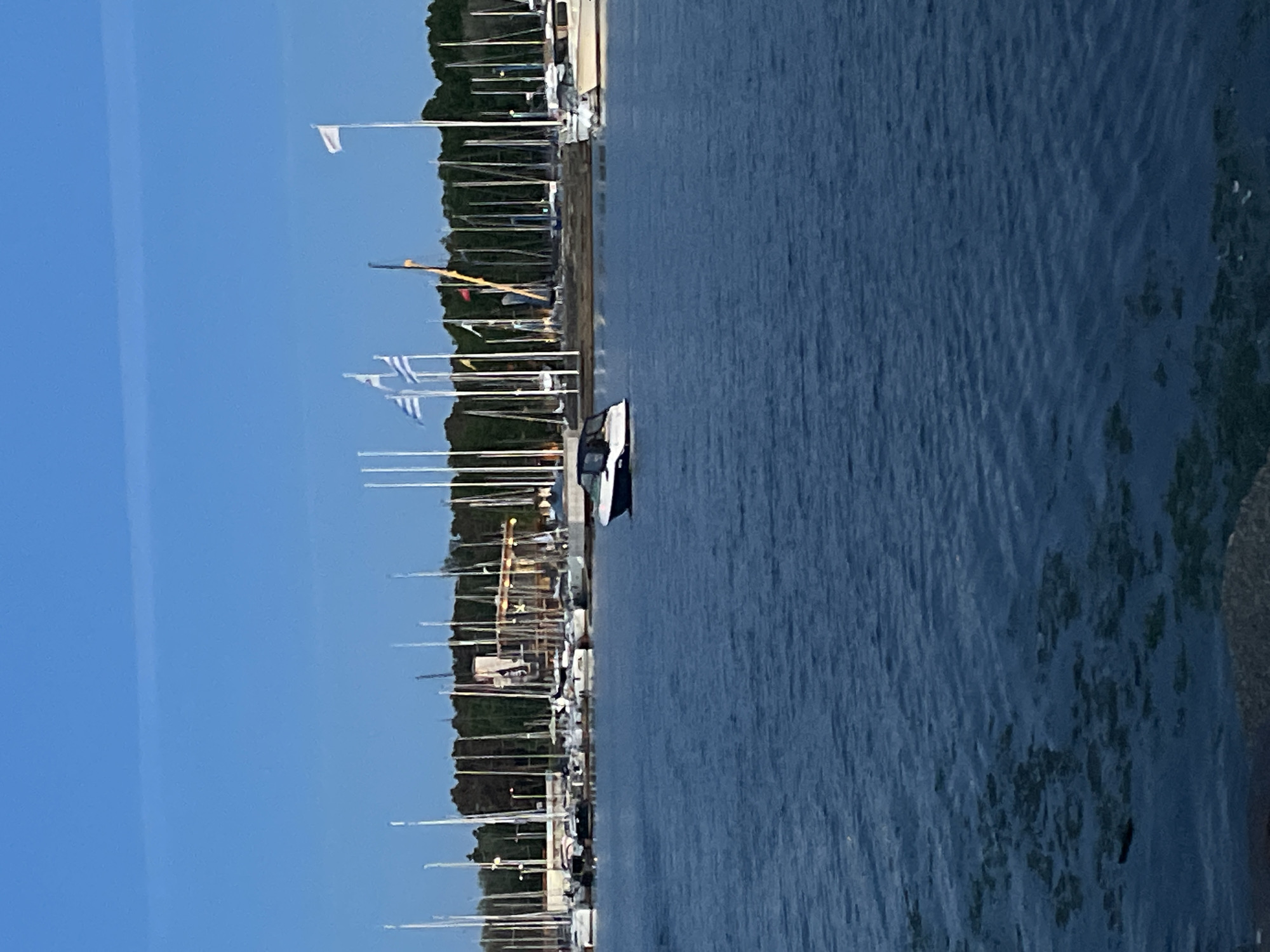 The image depicts a harbor with numerous sailboats docked and a small motorboat navigating the water. In the background, a line of trees forms a backdrop to the marina, with some buildings and structures visible amongst them. Three Greek flags are prominently displayed on flagpoles, fluttering in the breeze. The sky is a clear blue, indicating fair weather. The water is calm and reflects the blue of the sky, with some patches of darker color, possibly indicating seaweed or deeper areas. The scene is typical of a harbor or marina, likely in a coastal city. Given the presence of Greek flags, it suggests a connection to Greece, or a location where Greek ships or visitors are common. However, it is not possible to definitively identify the city of Tallinn, Estonia from the visual information provided.