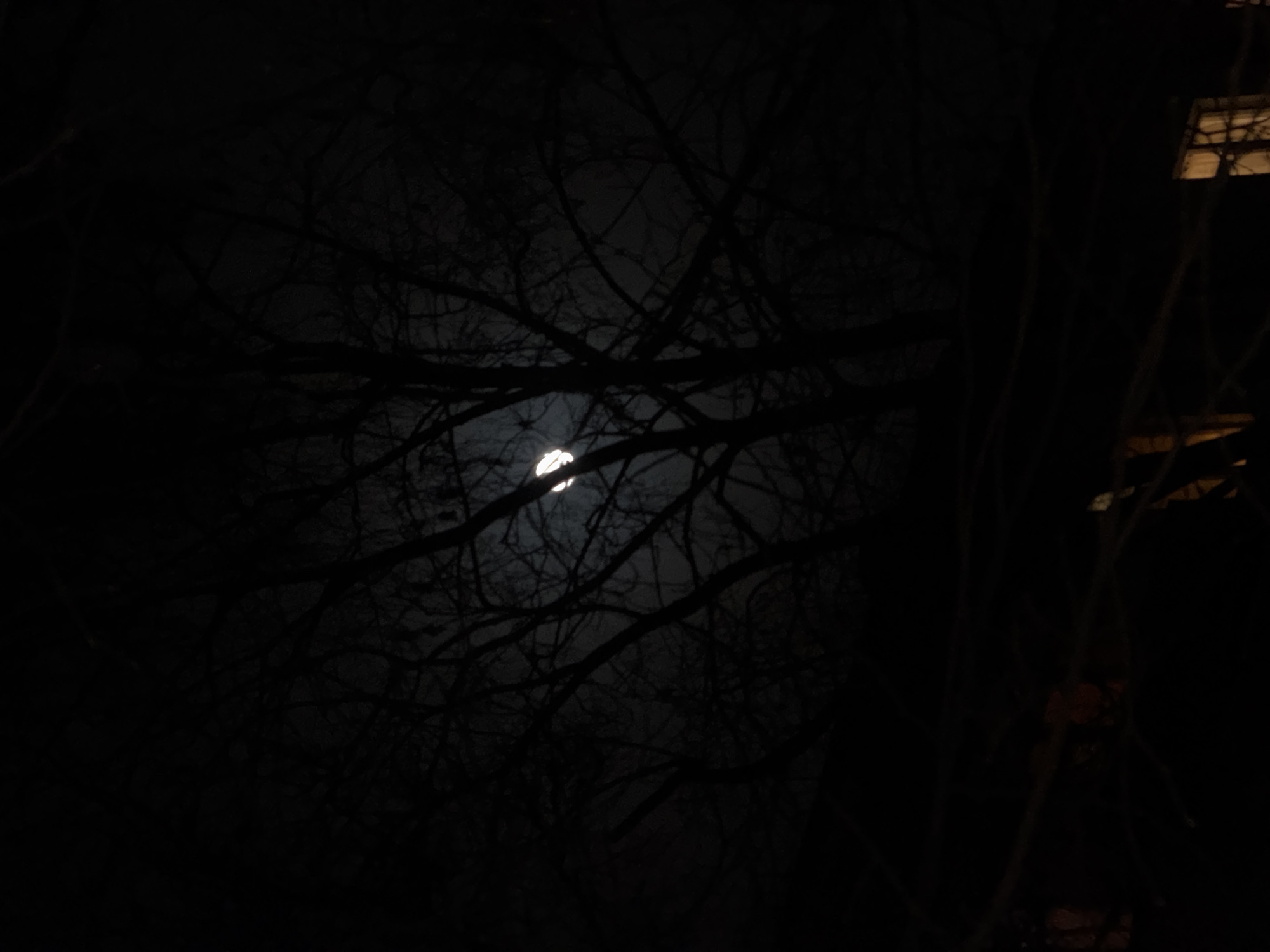 A low-angle, nighttime shot depicts a partially obscured moon through bare tree branches. A faint, diffuse glow suggests the moon is behind a thin layer of clouds. To the right, some indistinct illuminated window-like structures are barely visible. The overall scene is dark and indistinct, lacking any discernible context. No people are visible in the image. The location cannot be determined from the image.